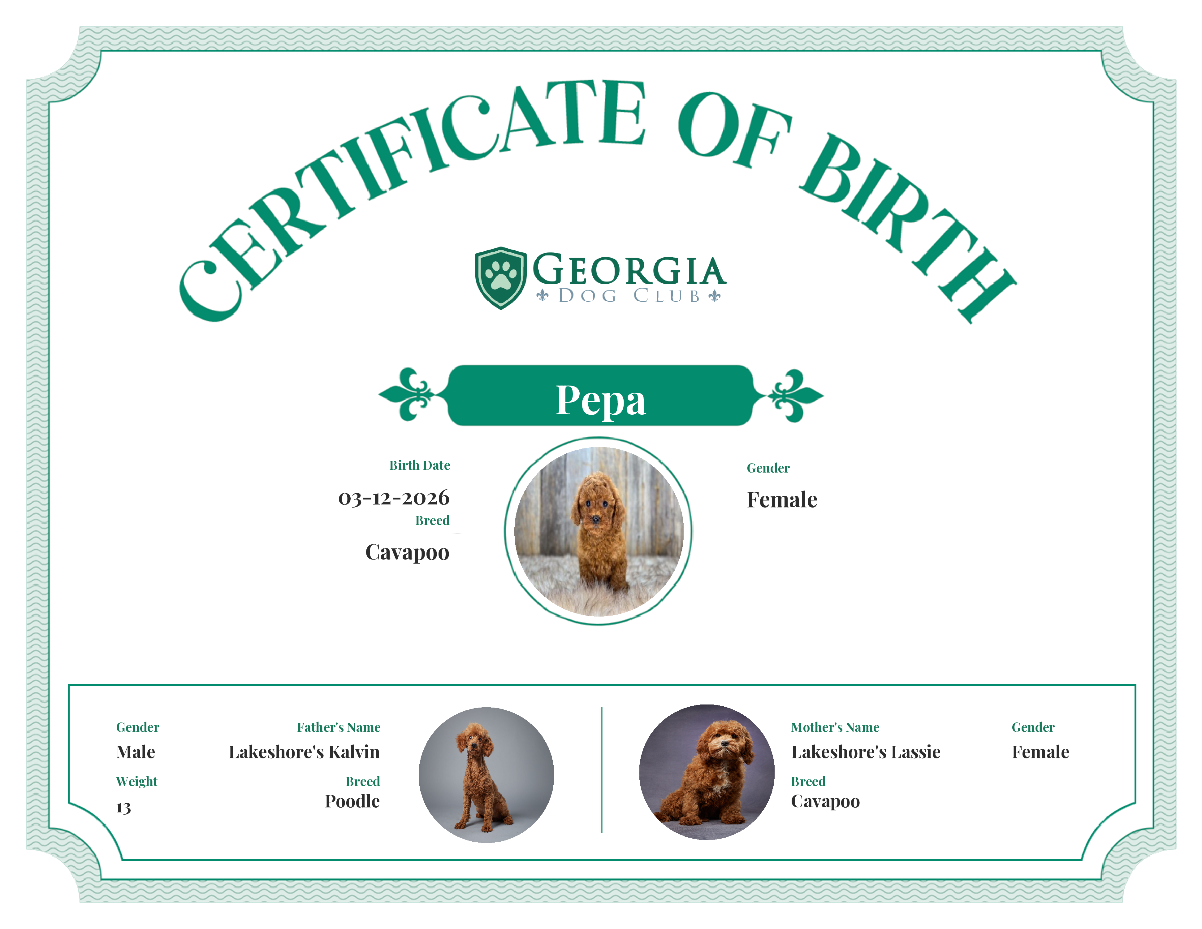 Pepa's Birth Certificate