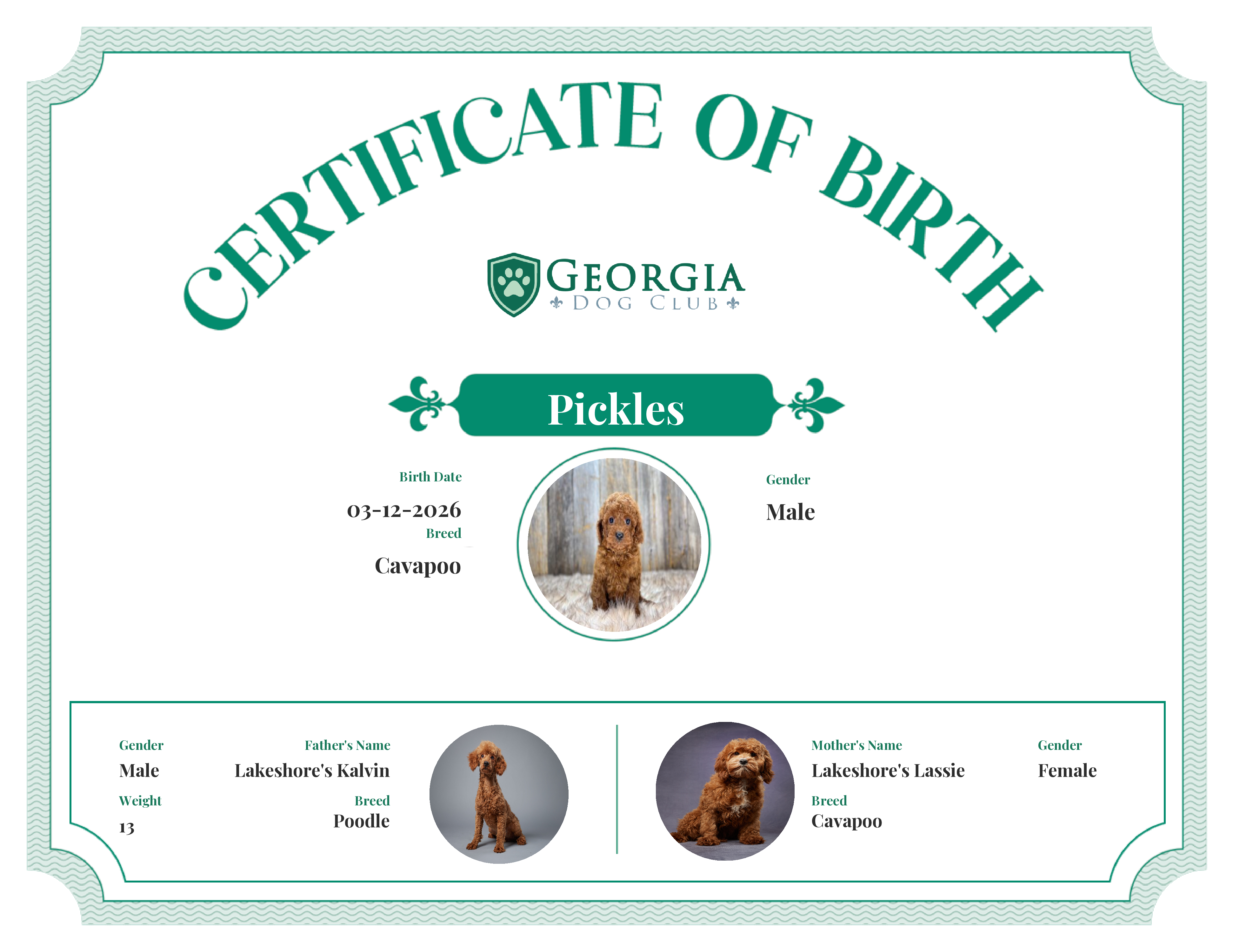 Pickles's Birth Certificate