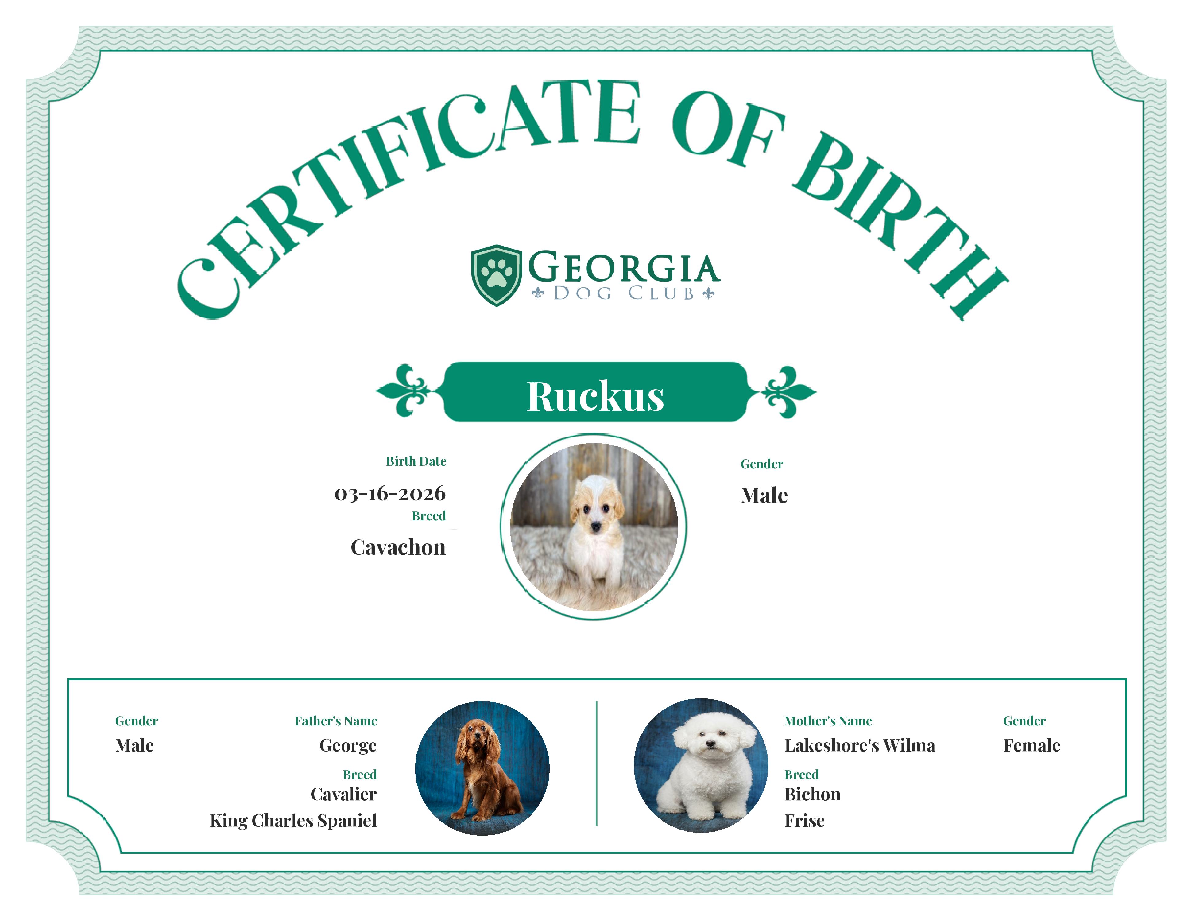 Ruckus's Birth Certificate