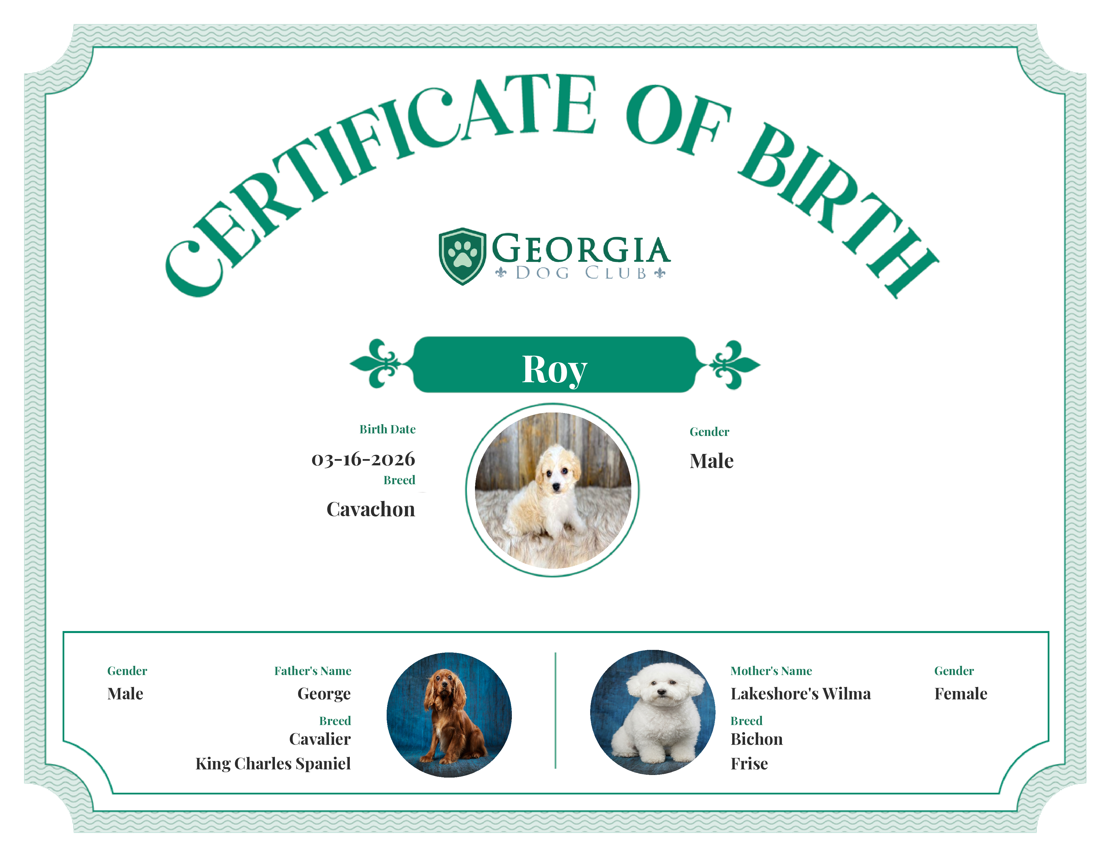 Roy's Birth Certificate
