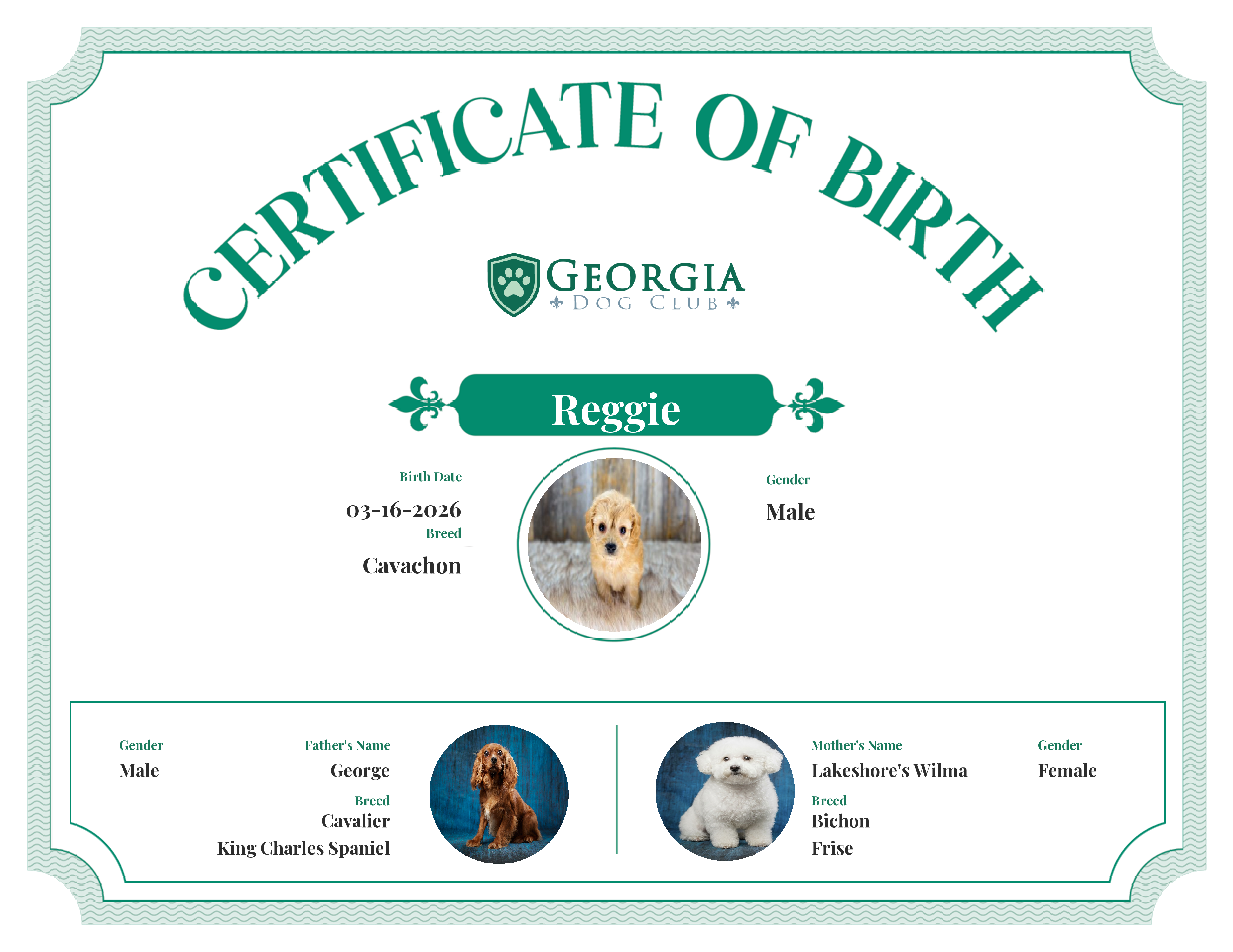 Reggie's Birth Certificate