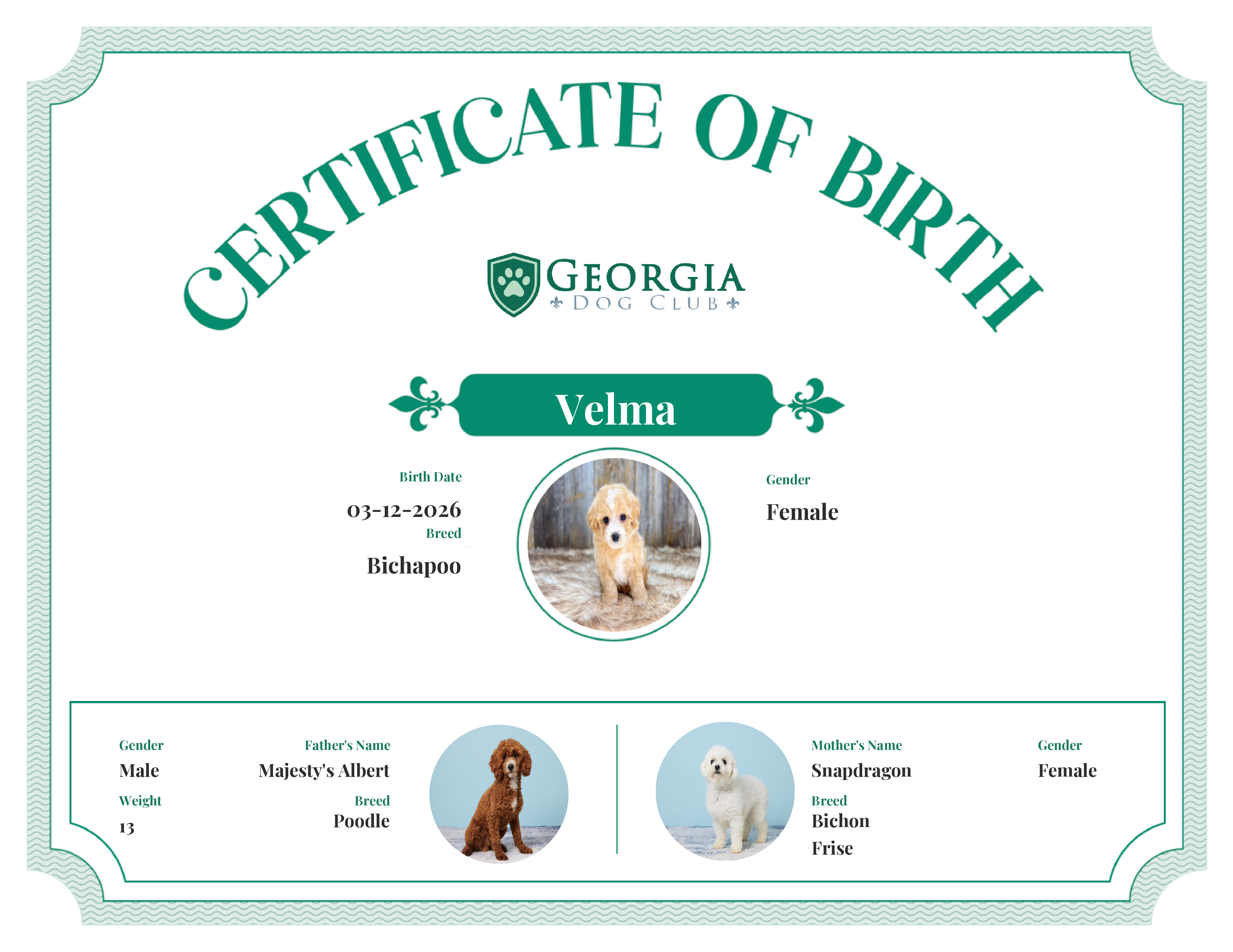 Velma's Birth Certificate