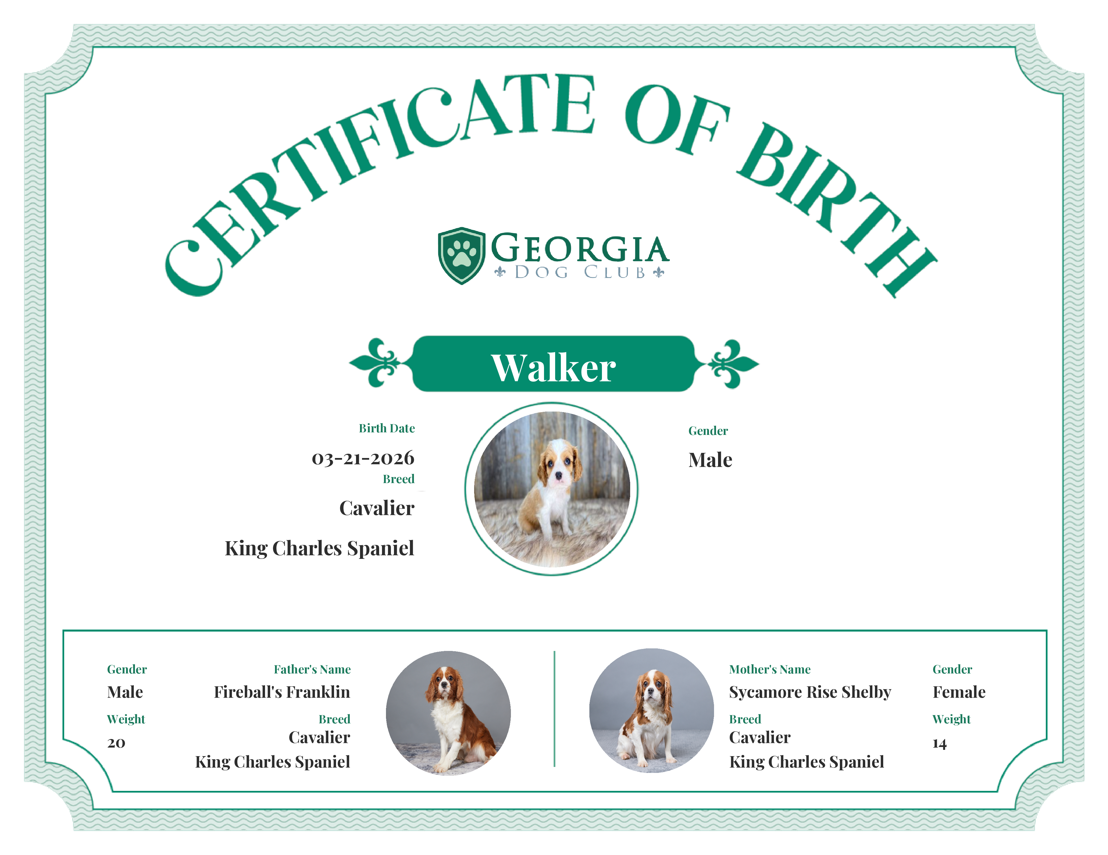 Walker's Birth Certificate