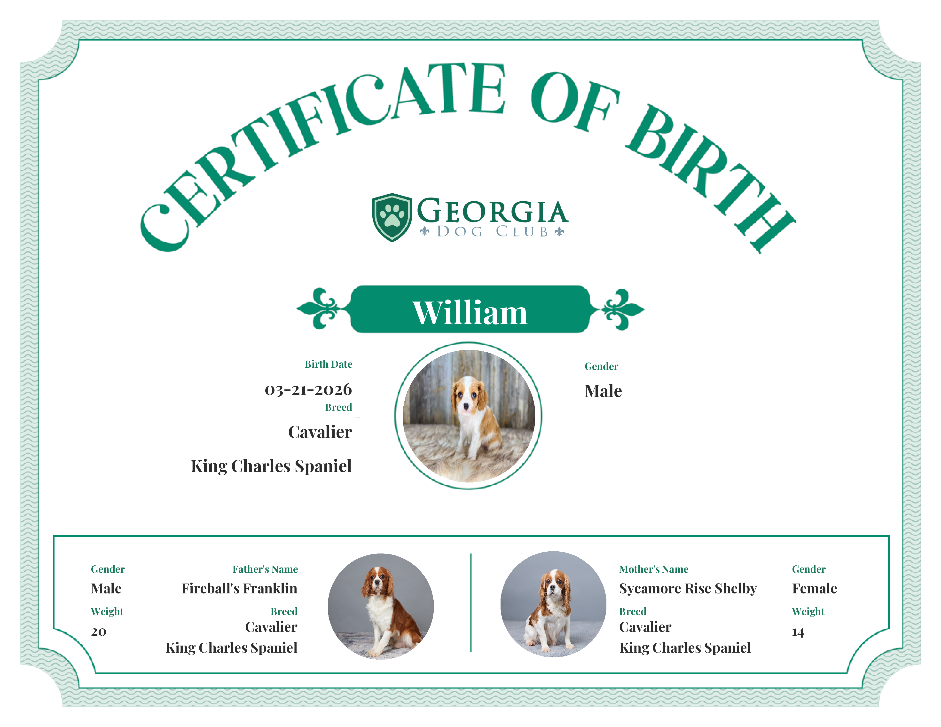 William's Birth Certificate
