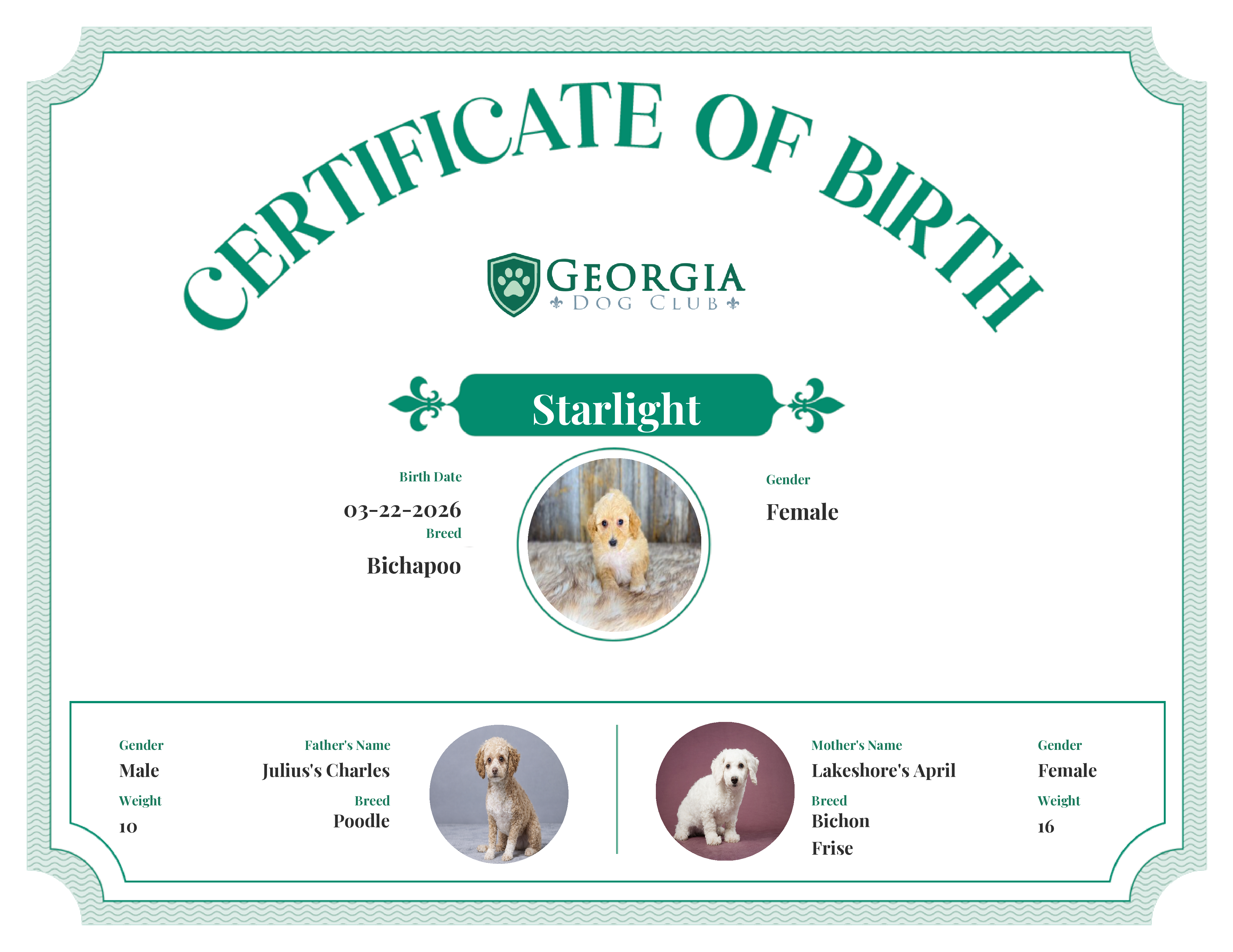 Starlight's Birth Certificate