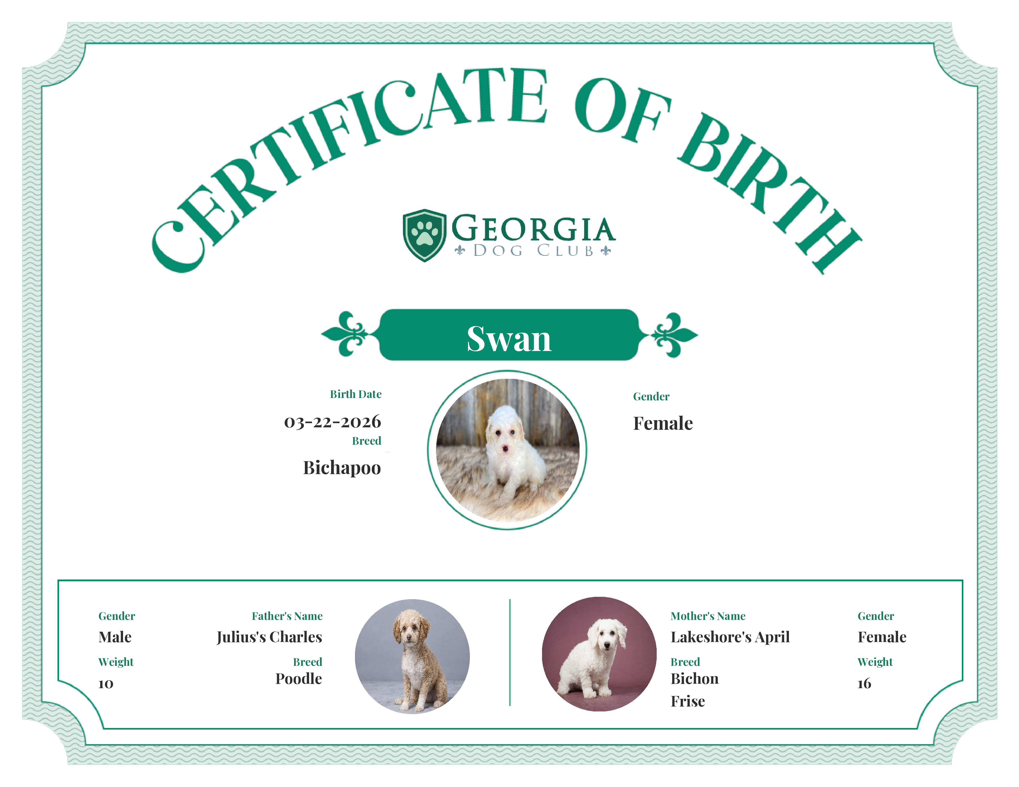 Swan's Birth Certificate