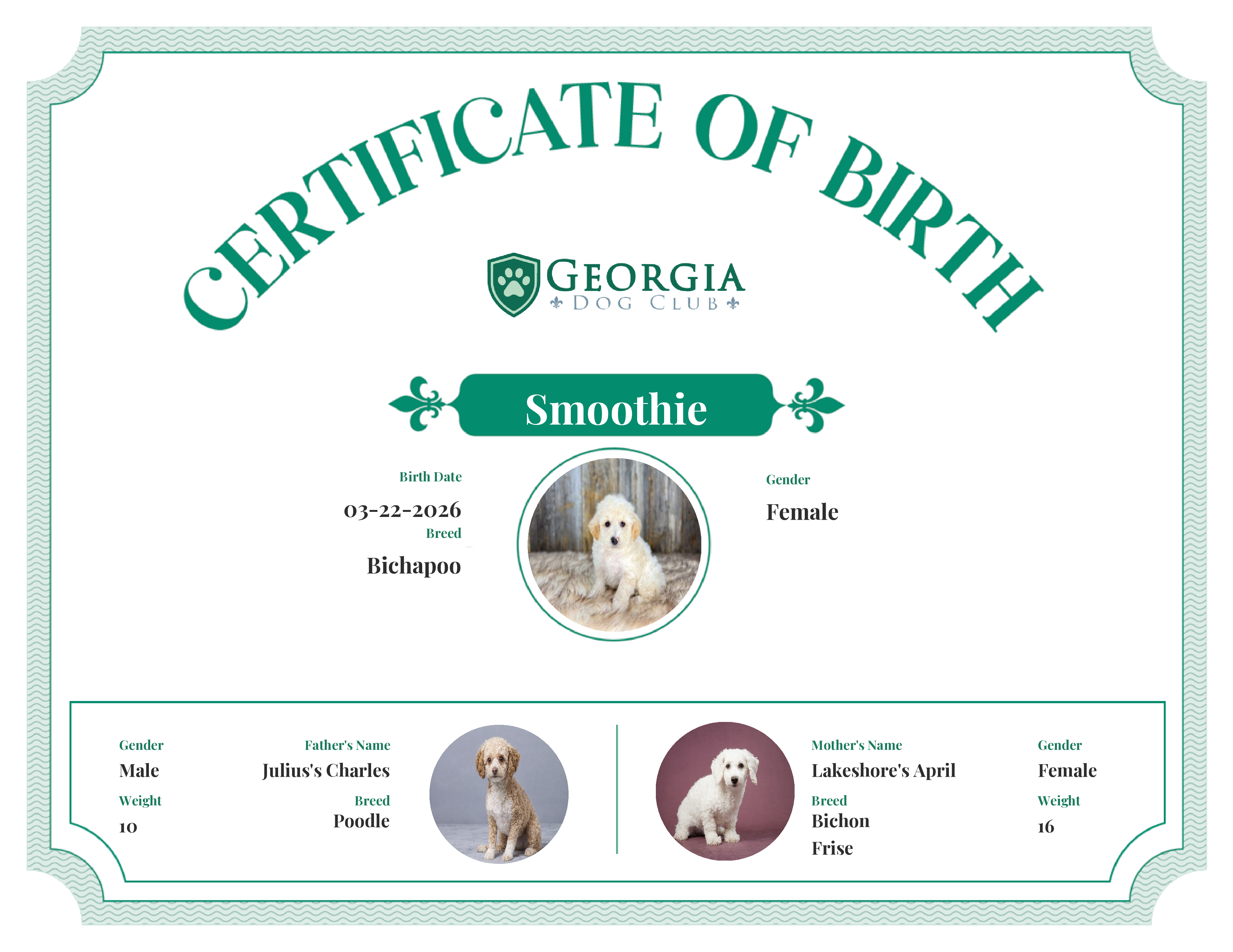 Smoothie's Birth Certificate