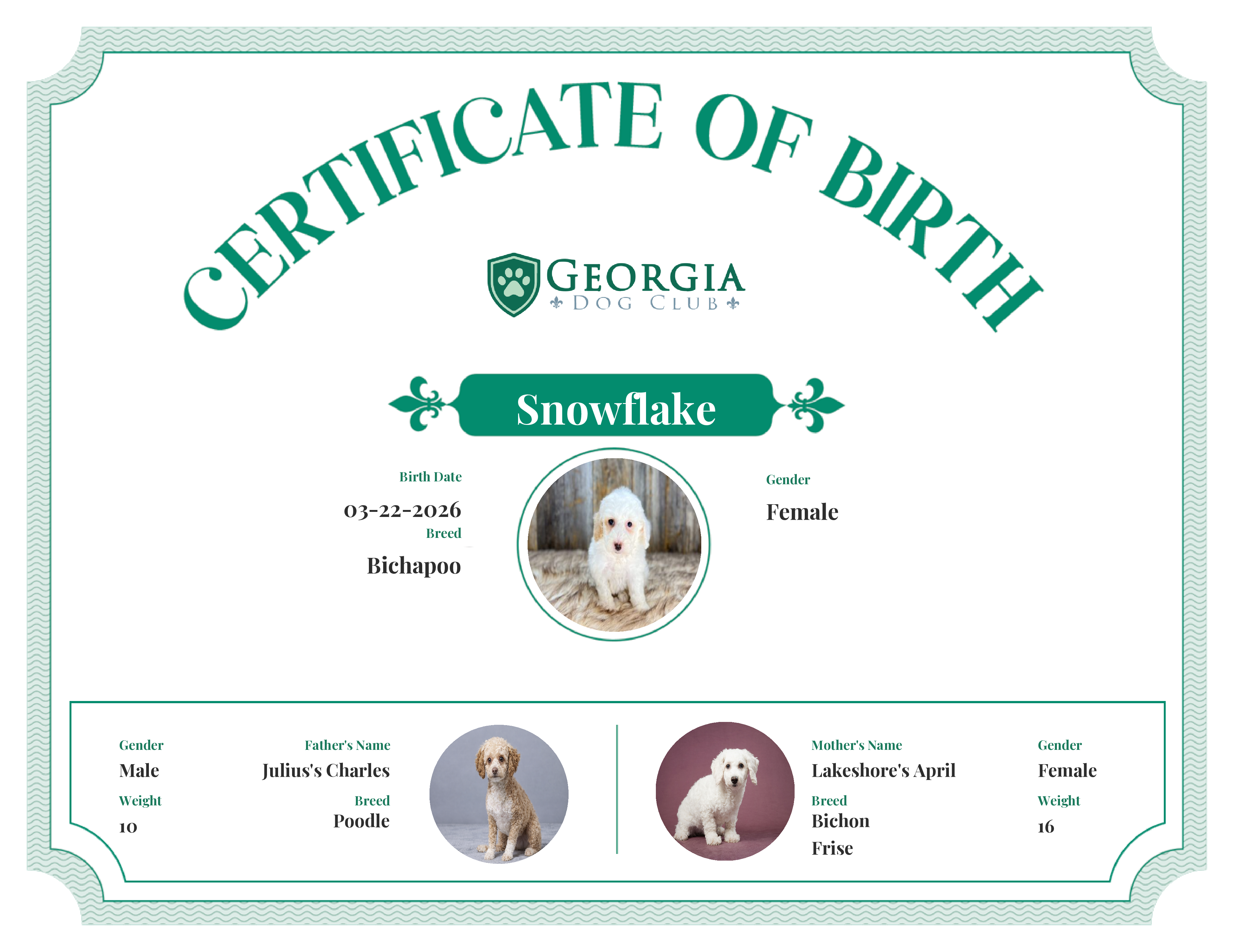 Snowflake's Birth Certificate