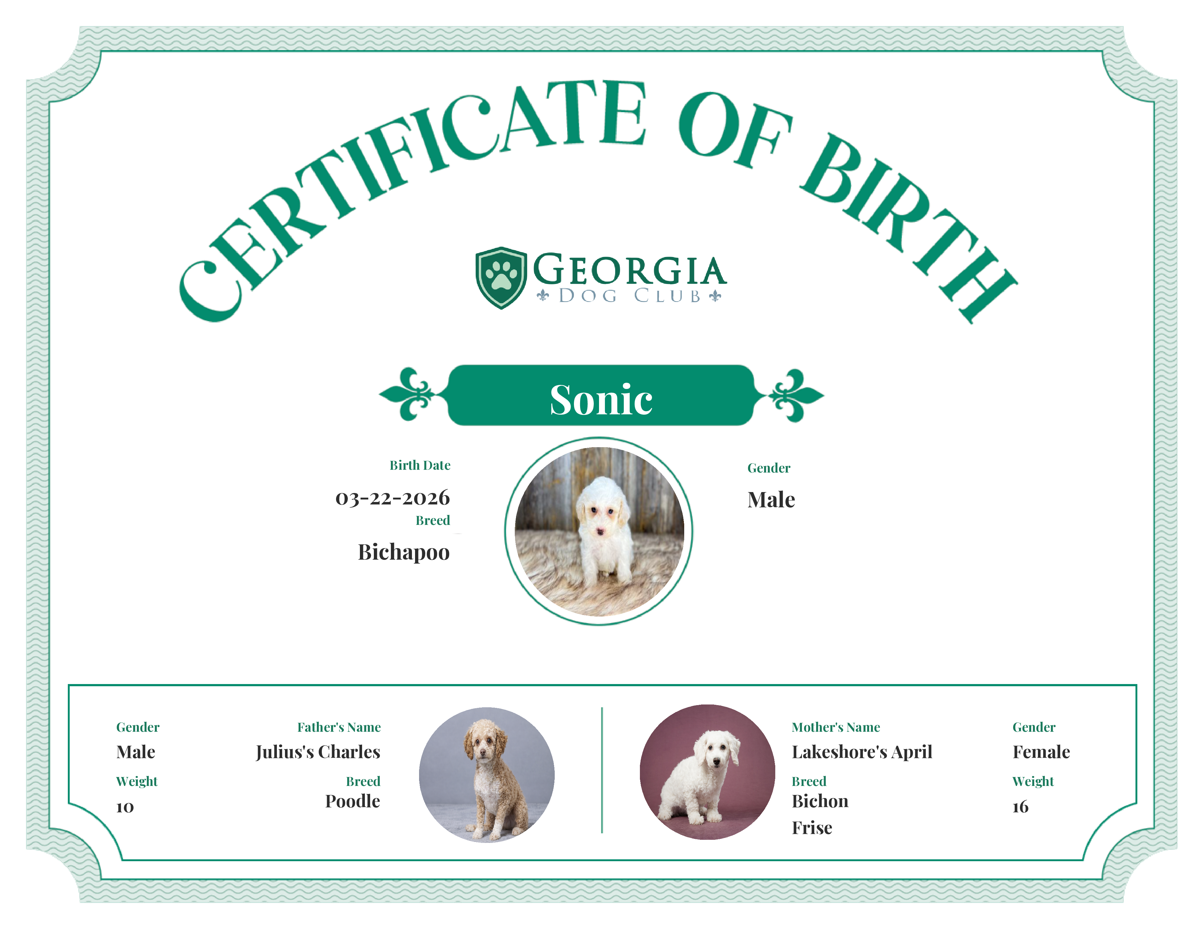 Sonic's Birth Certificate