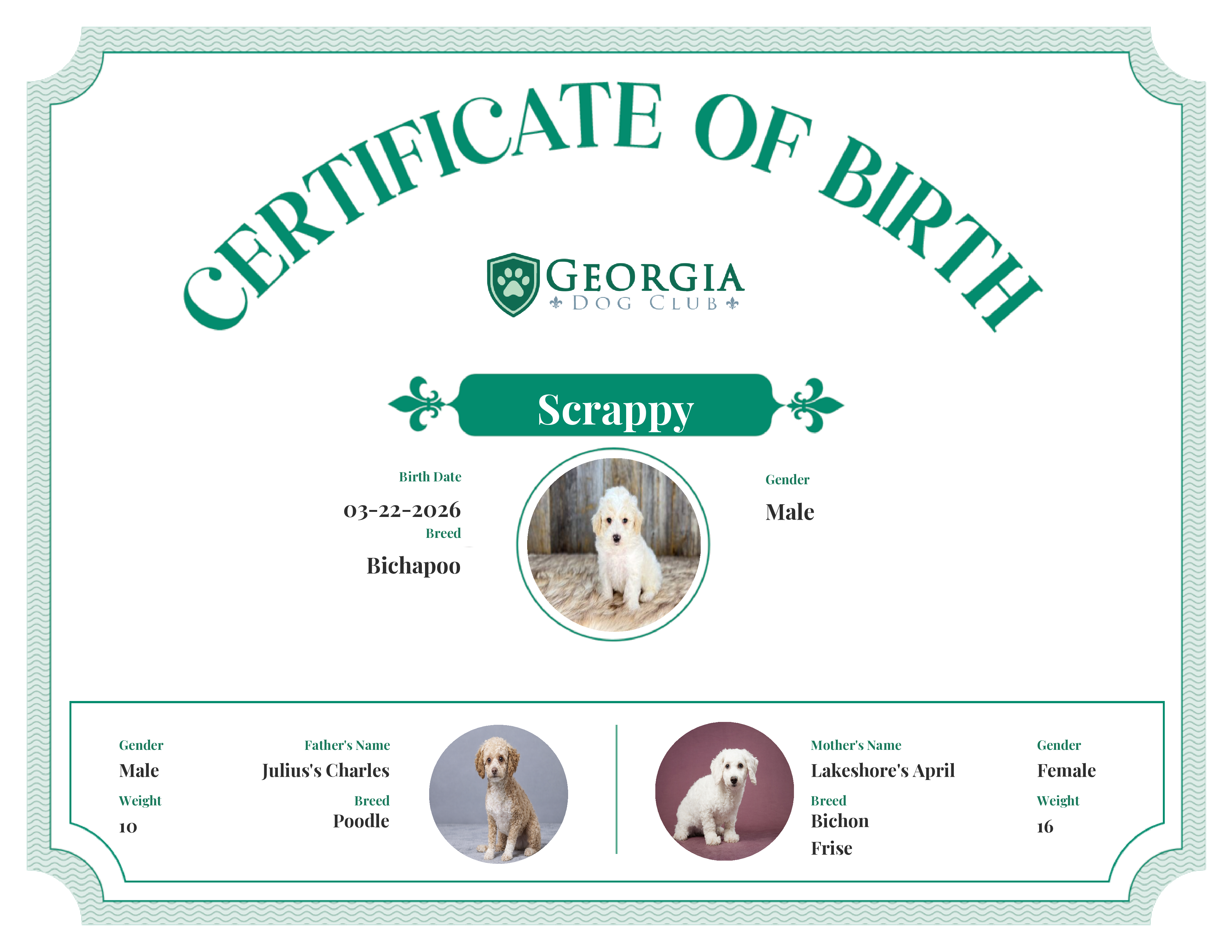 Scrappy's Birth Certificate