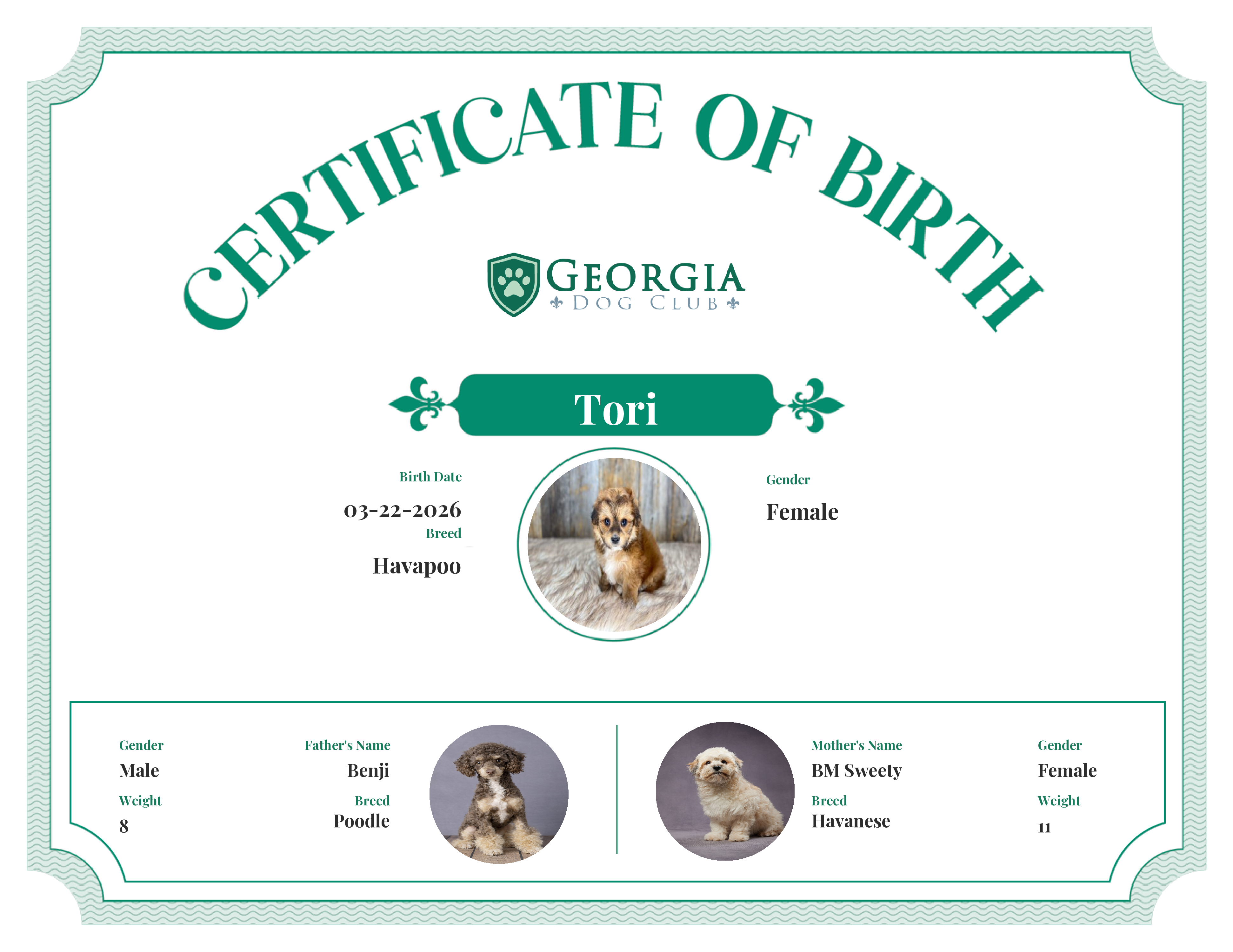 Tori's Birth Certificate