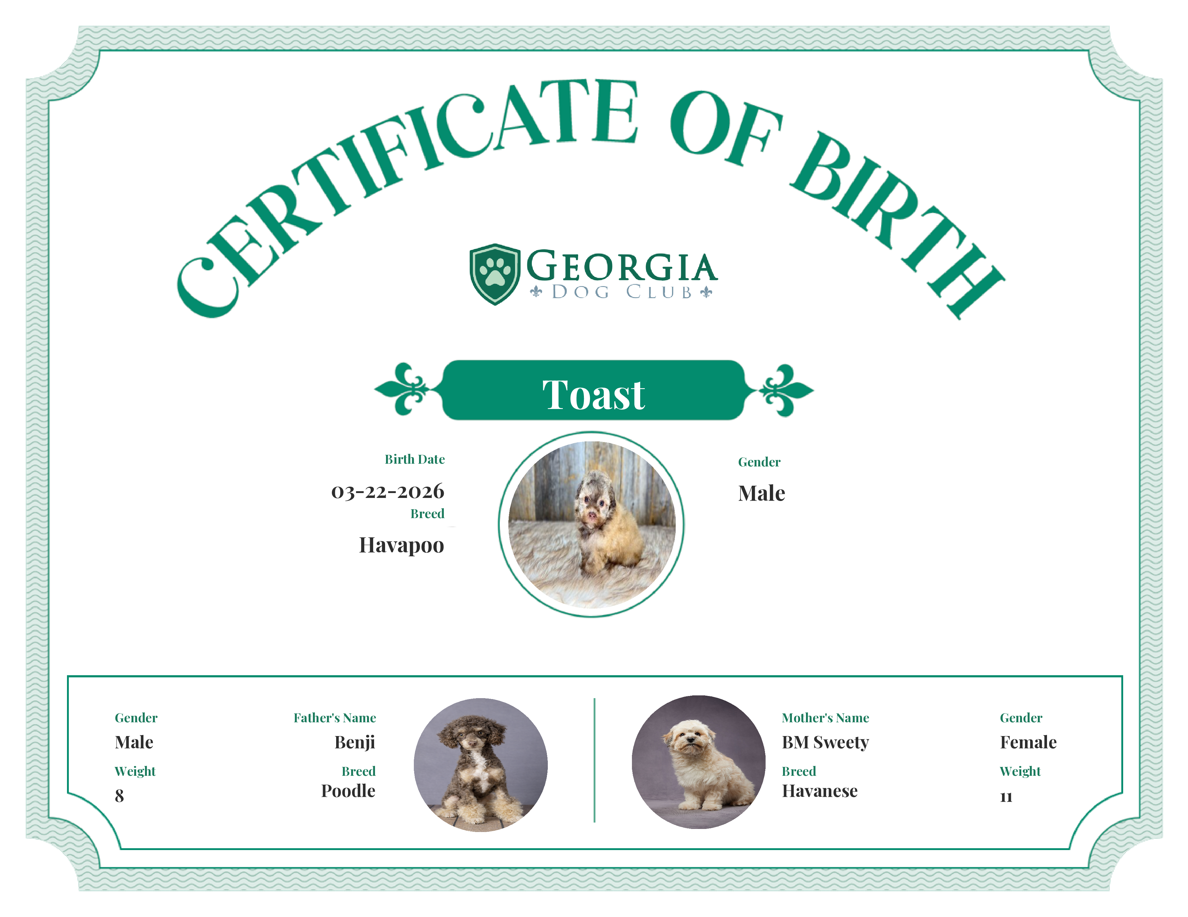 Toast's Birth Certificate