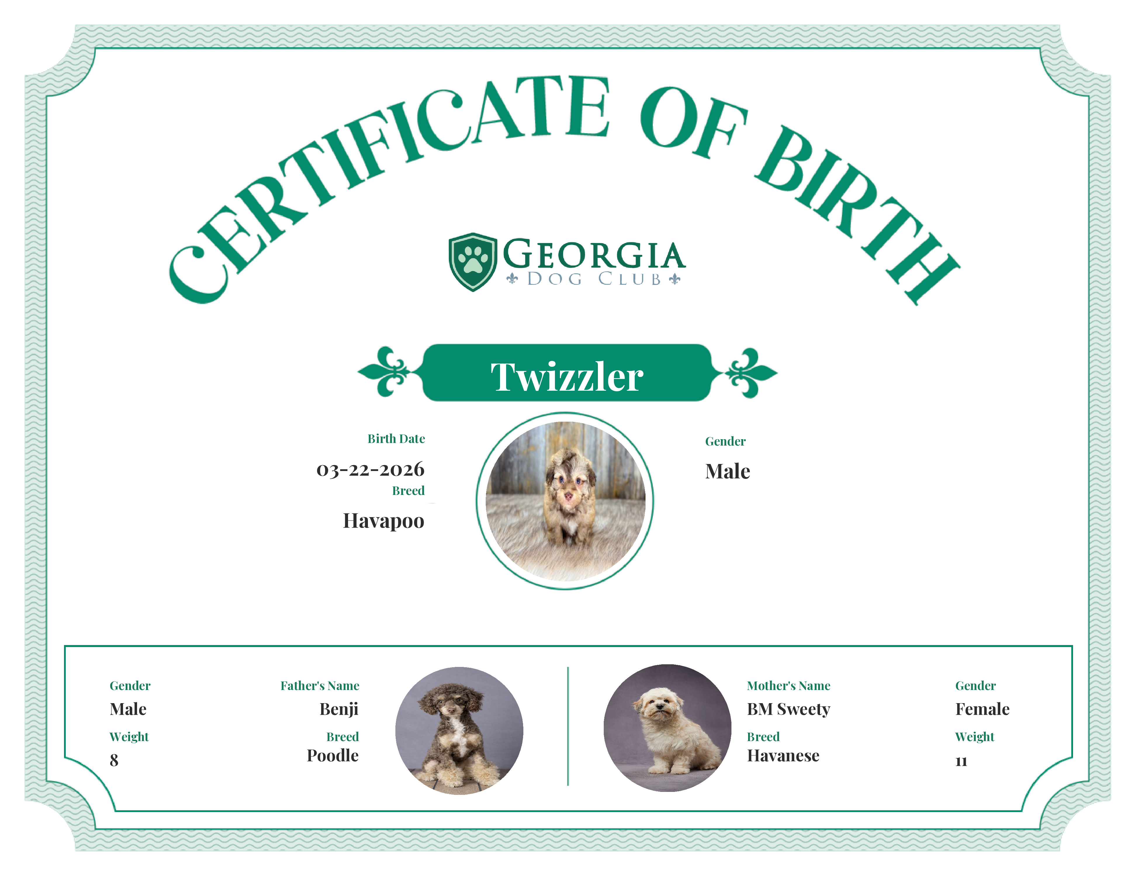 Twizzler's Birth Certificate