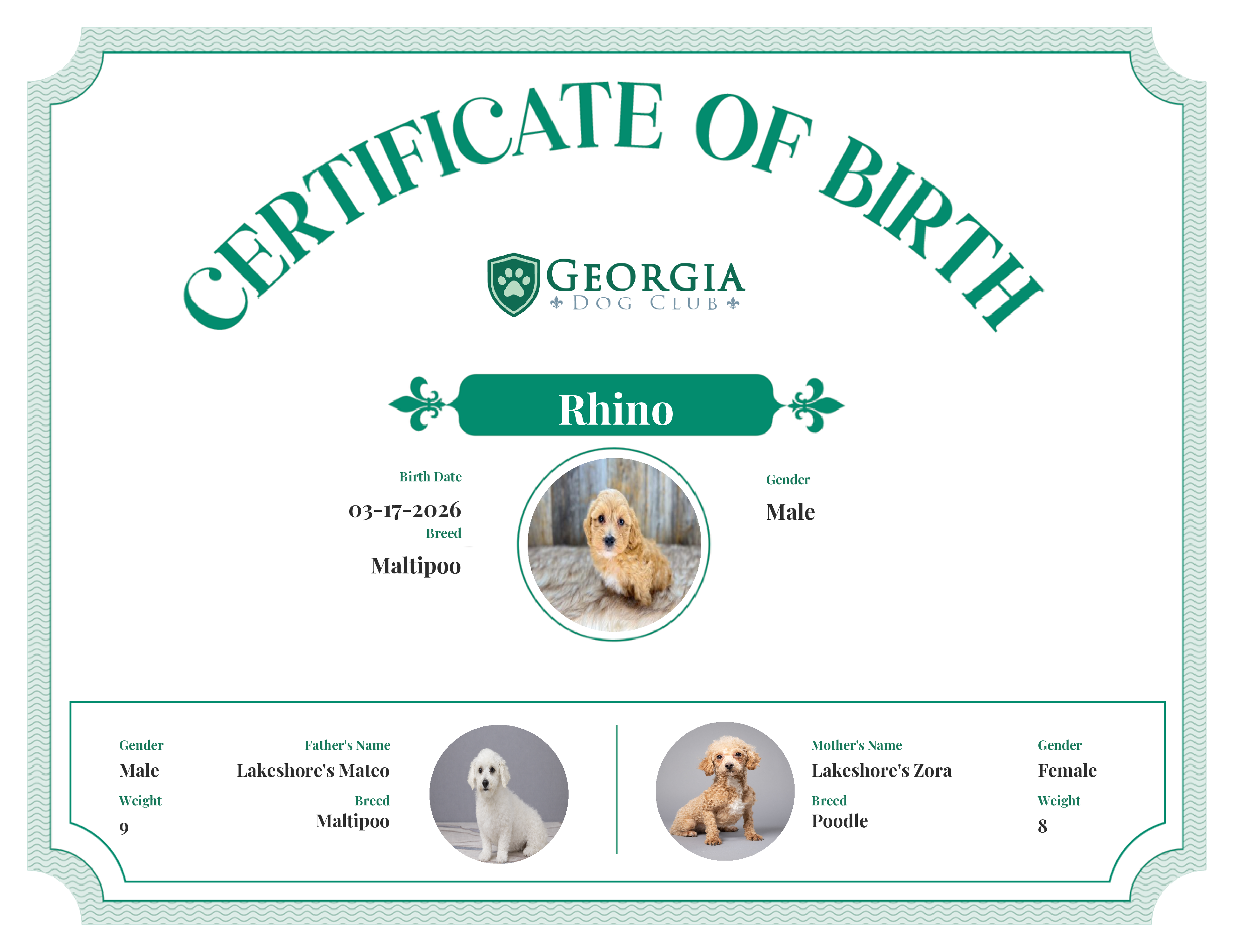 Rhino's Birth Certificate