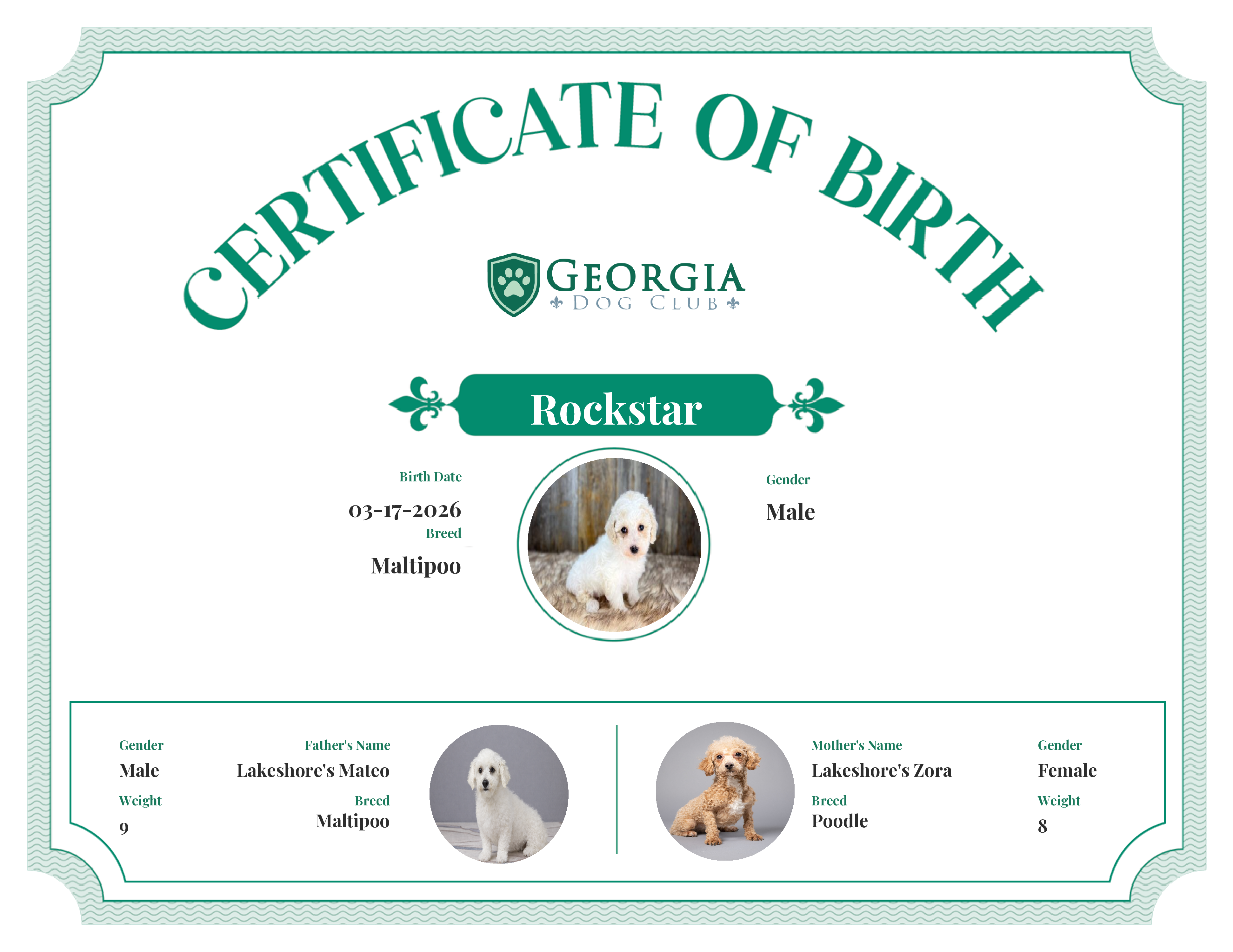 Rockstar's Birth Certificate