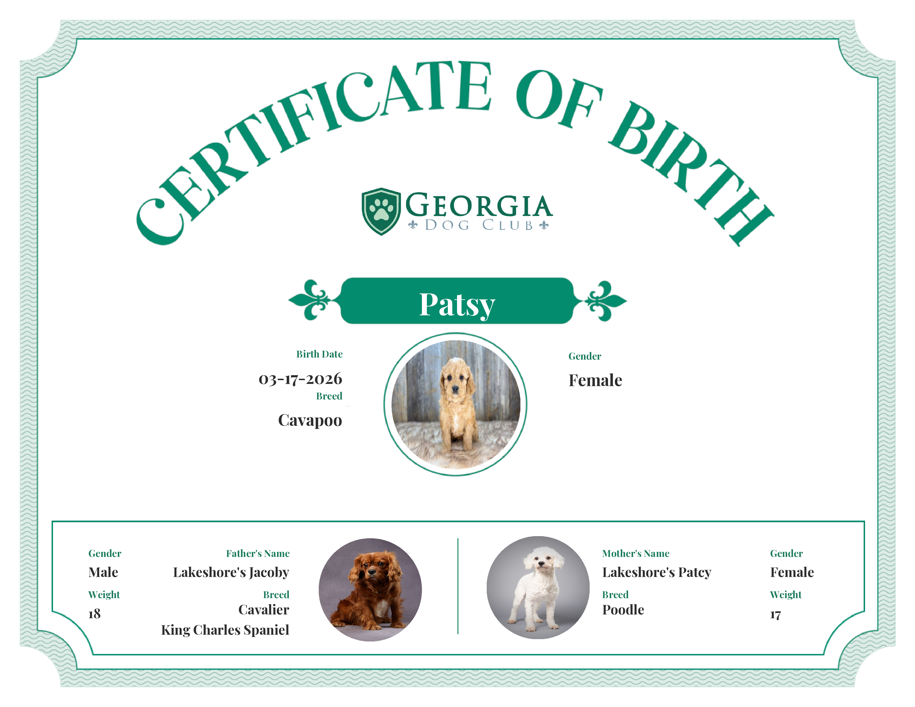Patsy's Birth Certificate