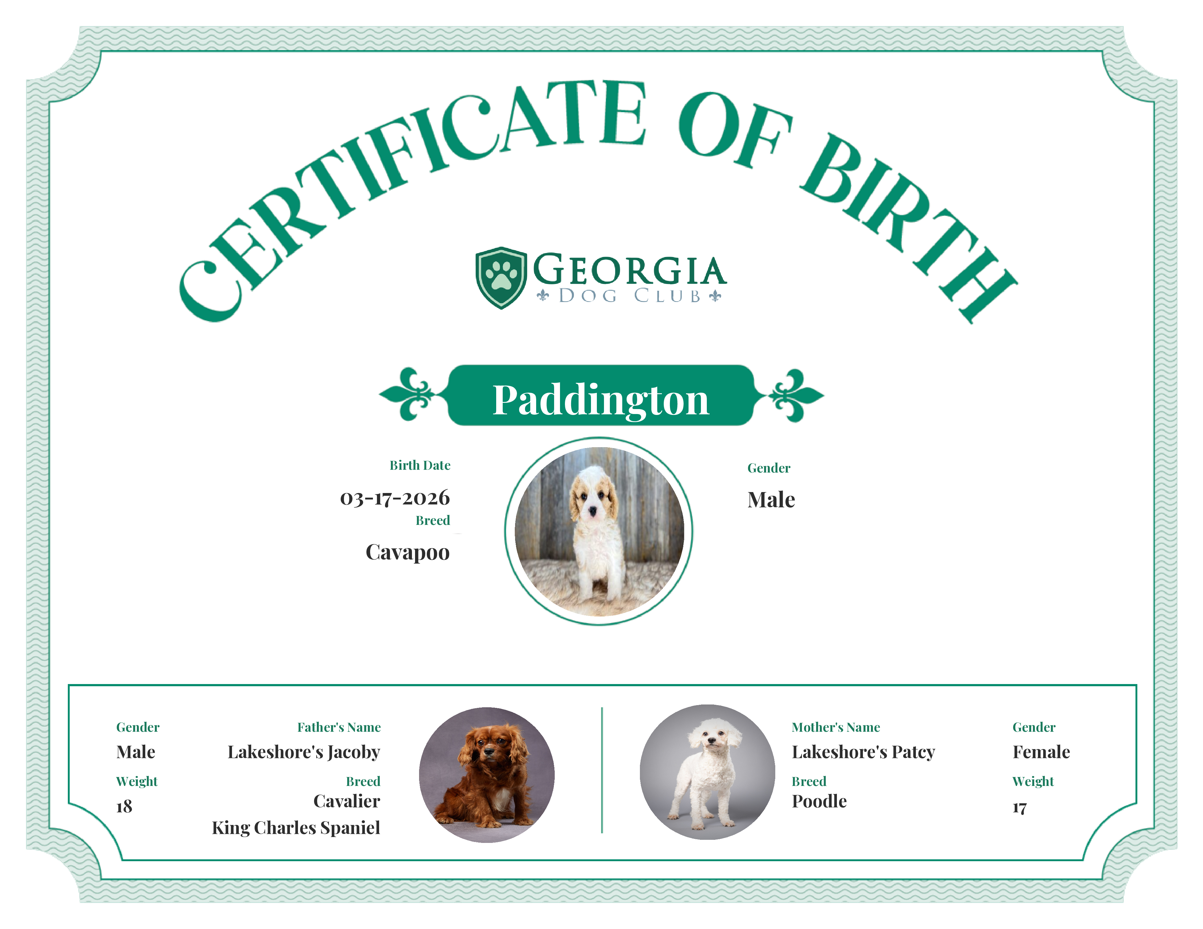Paddington's Birth Certificate