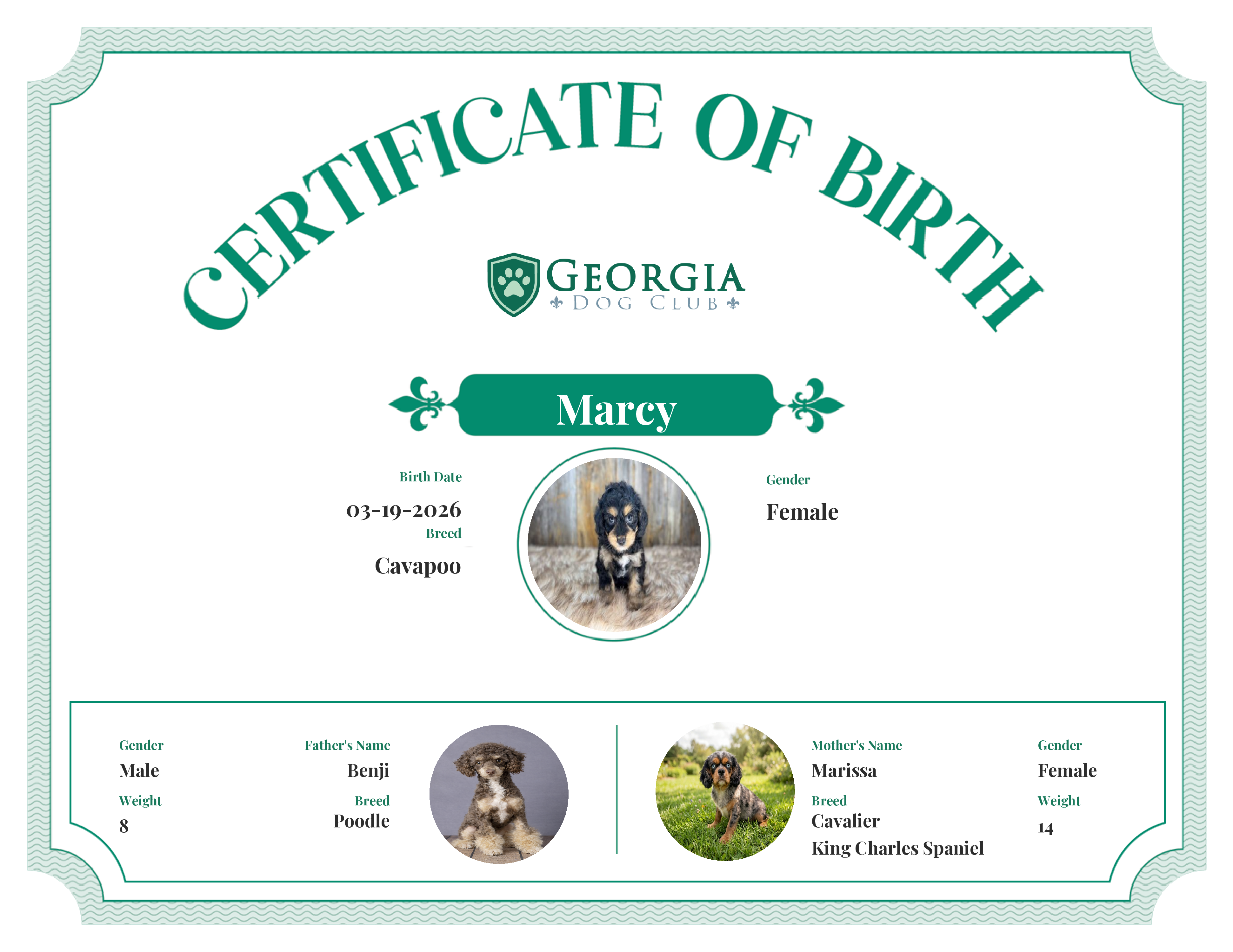 Marcy's Birth Certificate