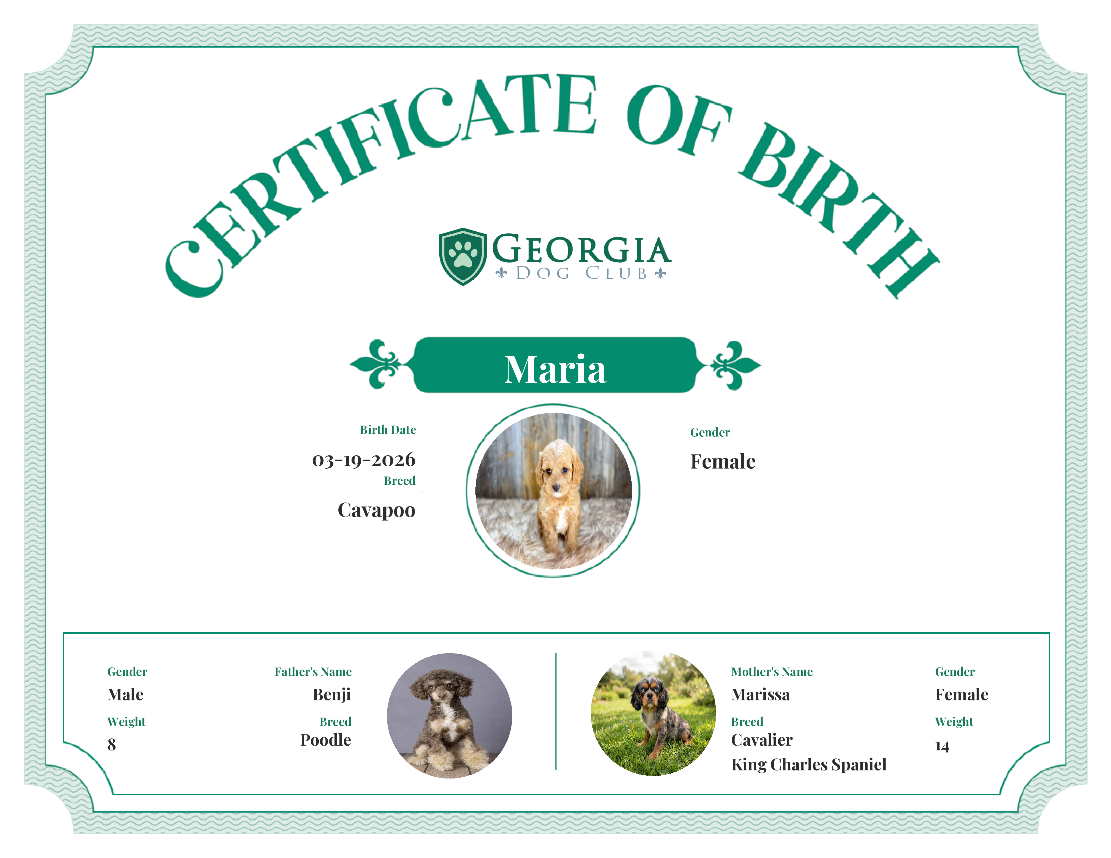 Maria's Birth Certificate