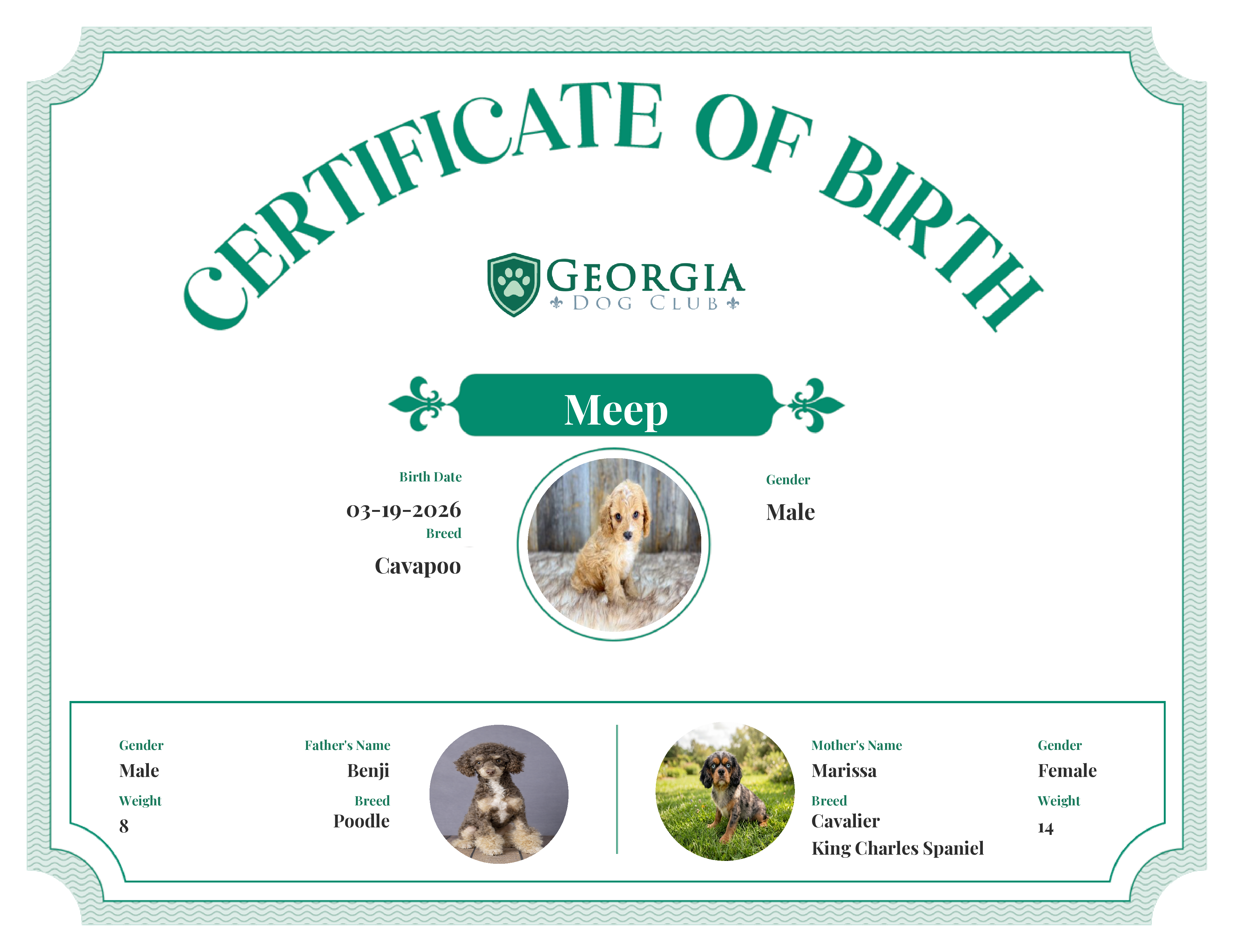 Meep's Birth Certificate