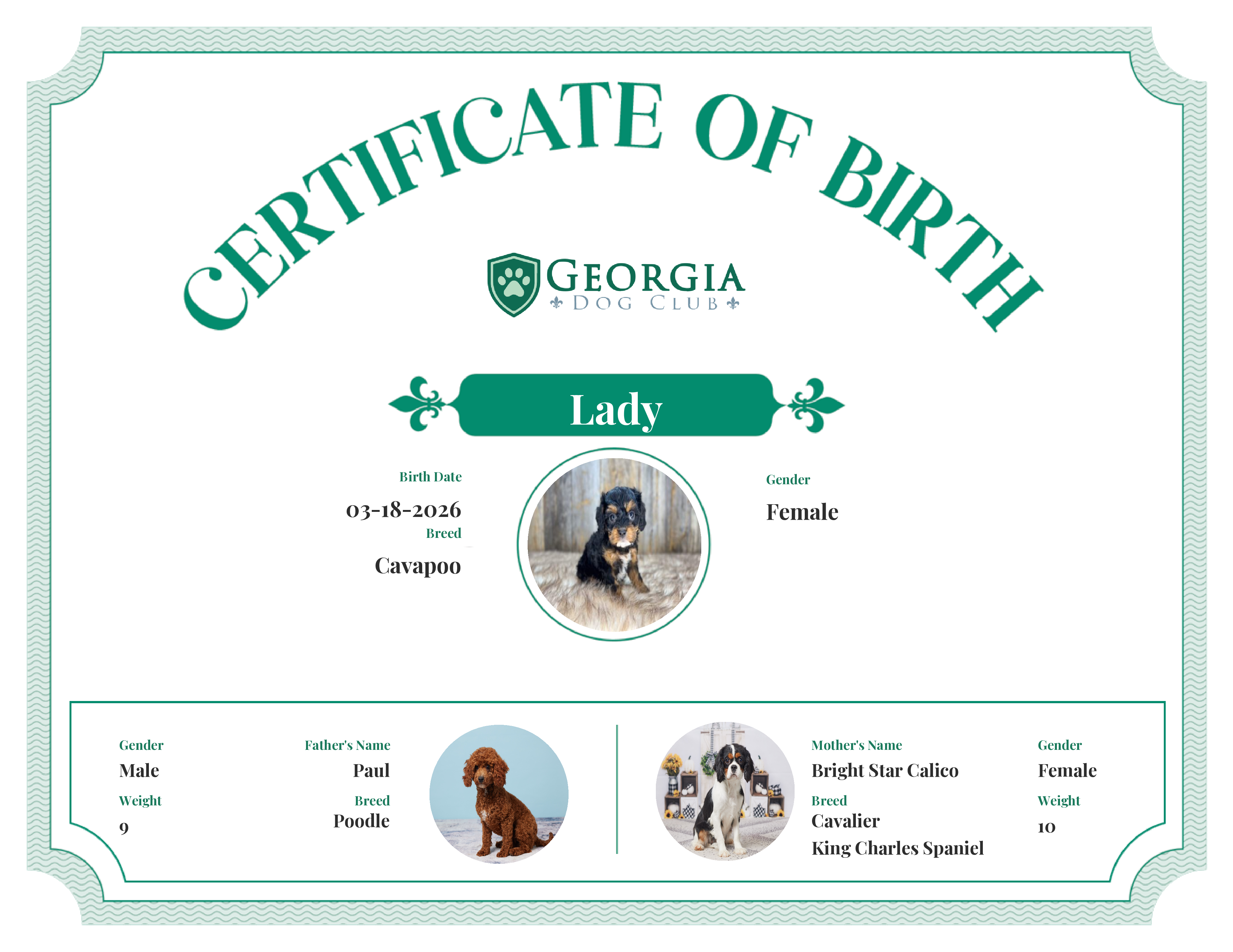 Lady's Birth Certificate