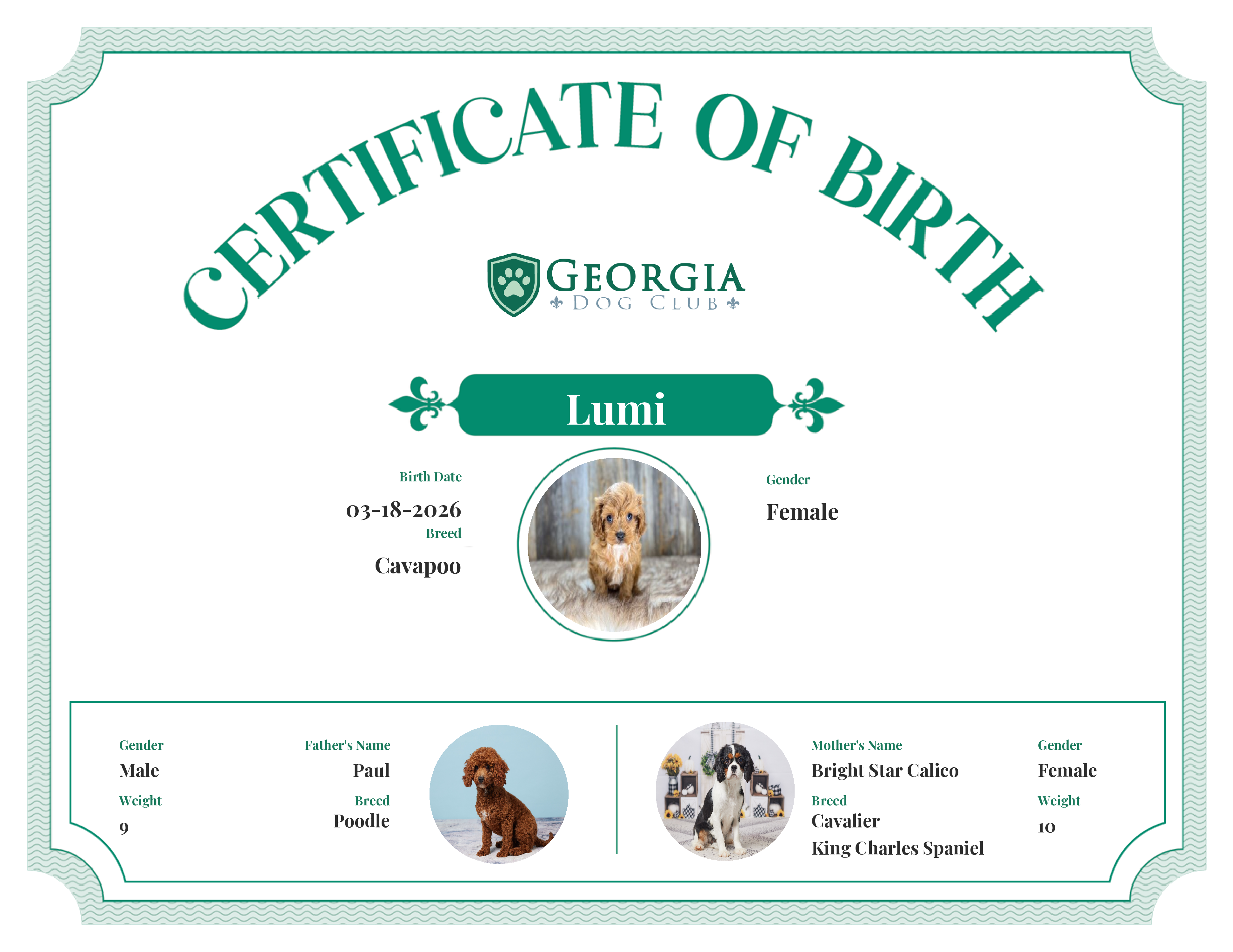 Lumi's Birth Certificate