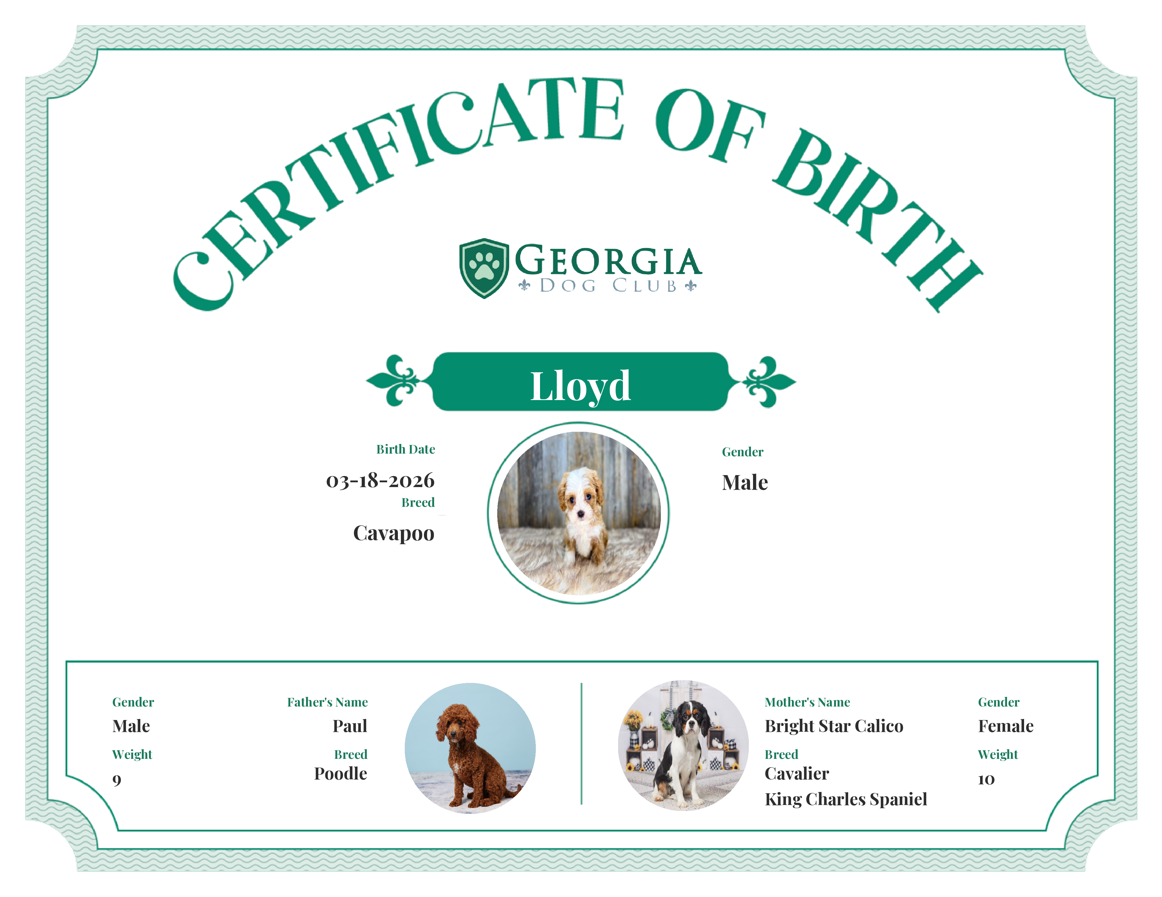 Lloyd's Birth Certificate