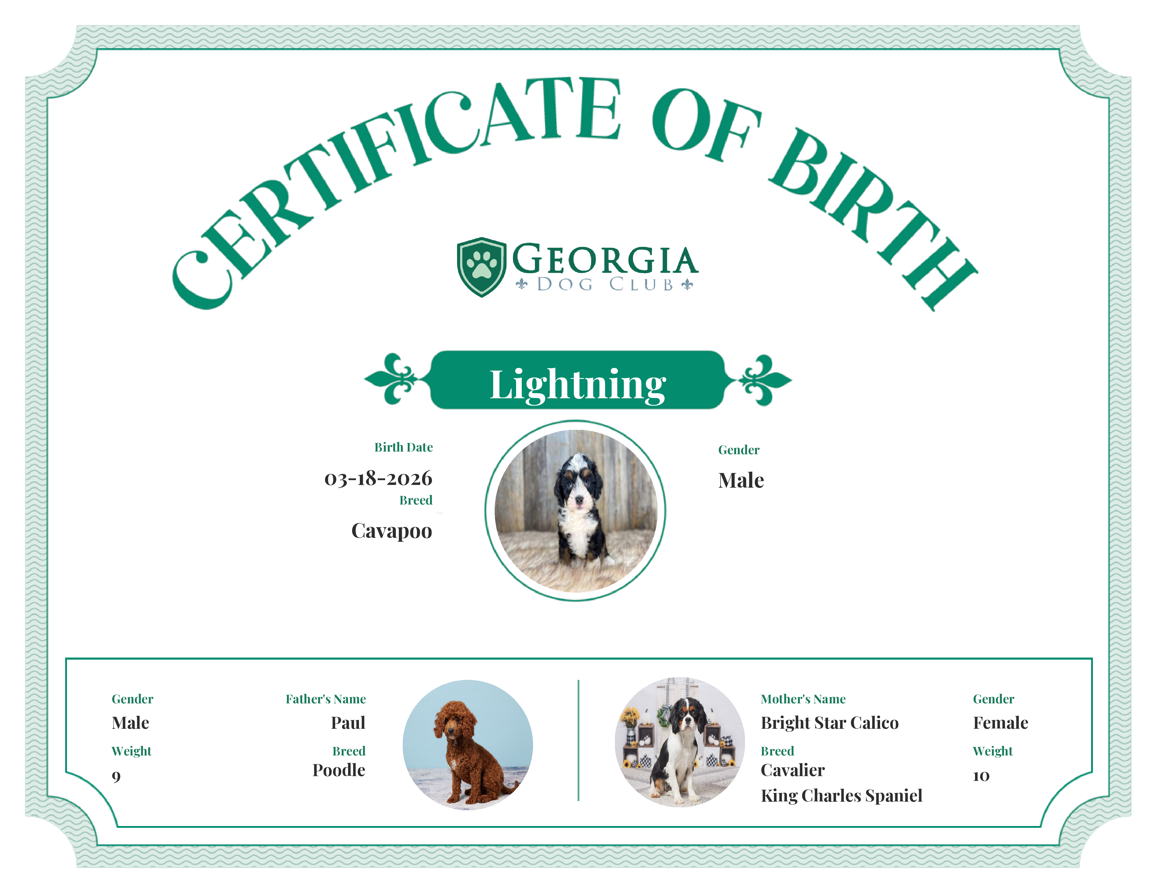 Lightning's Birth Certificate