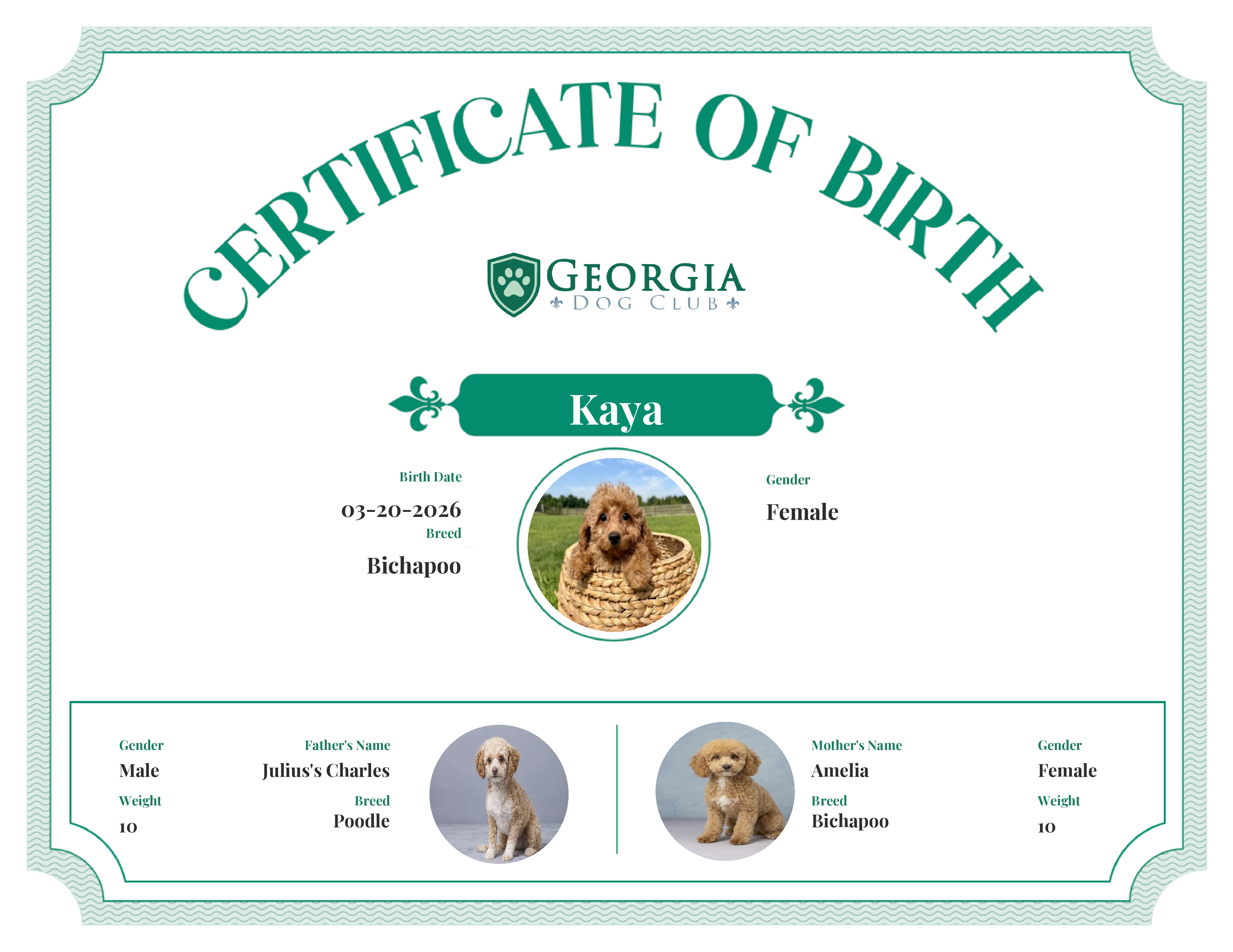 Kaya's Birth Certificate