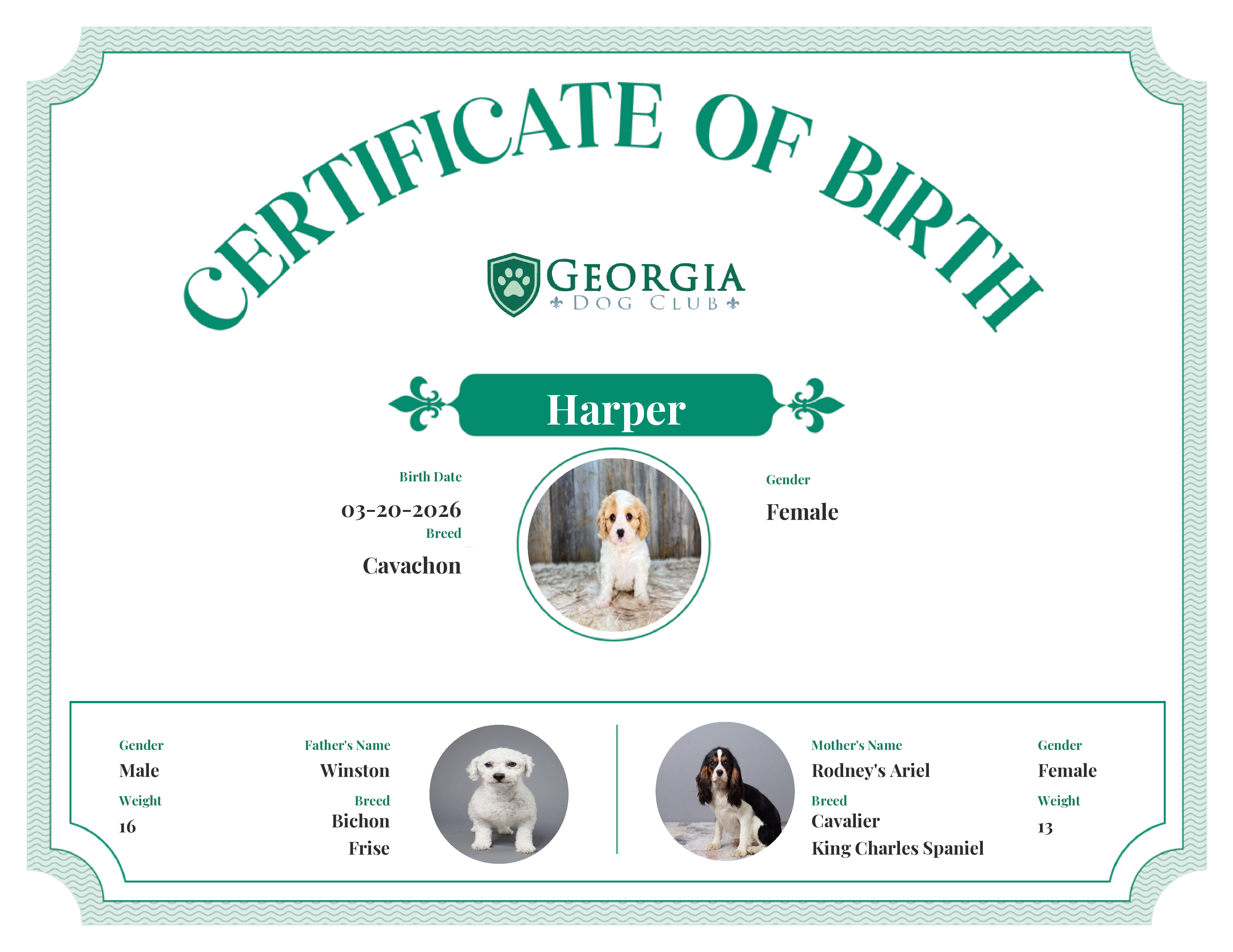 Harper's Birth Certificate
