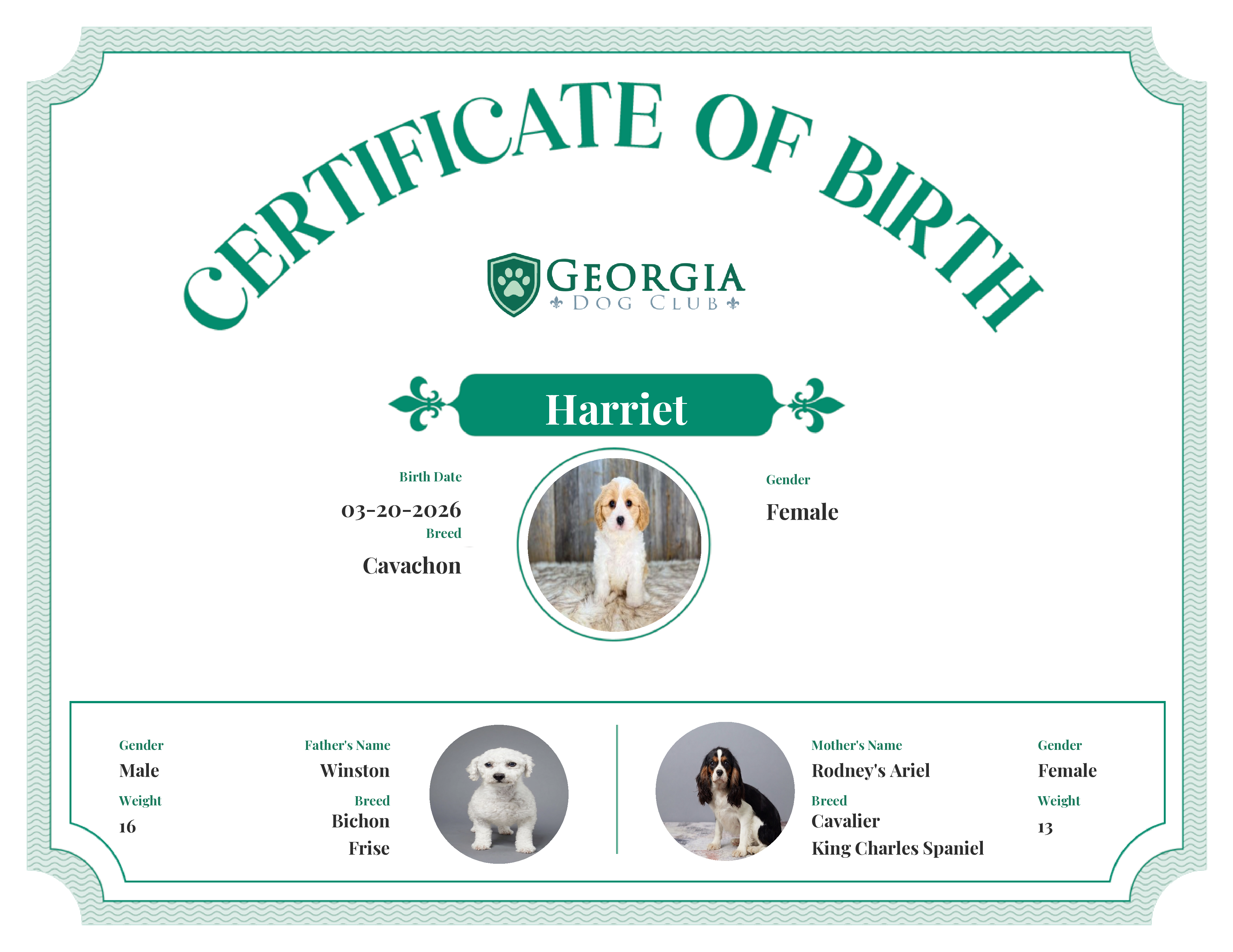 Harriet's Birth Certificate