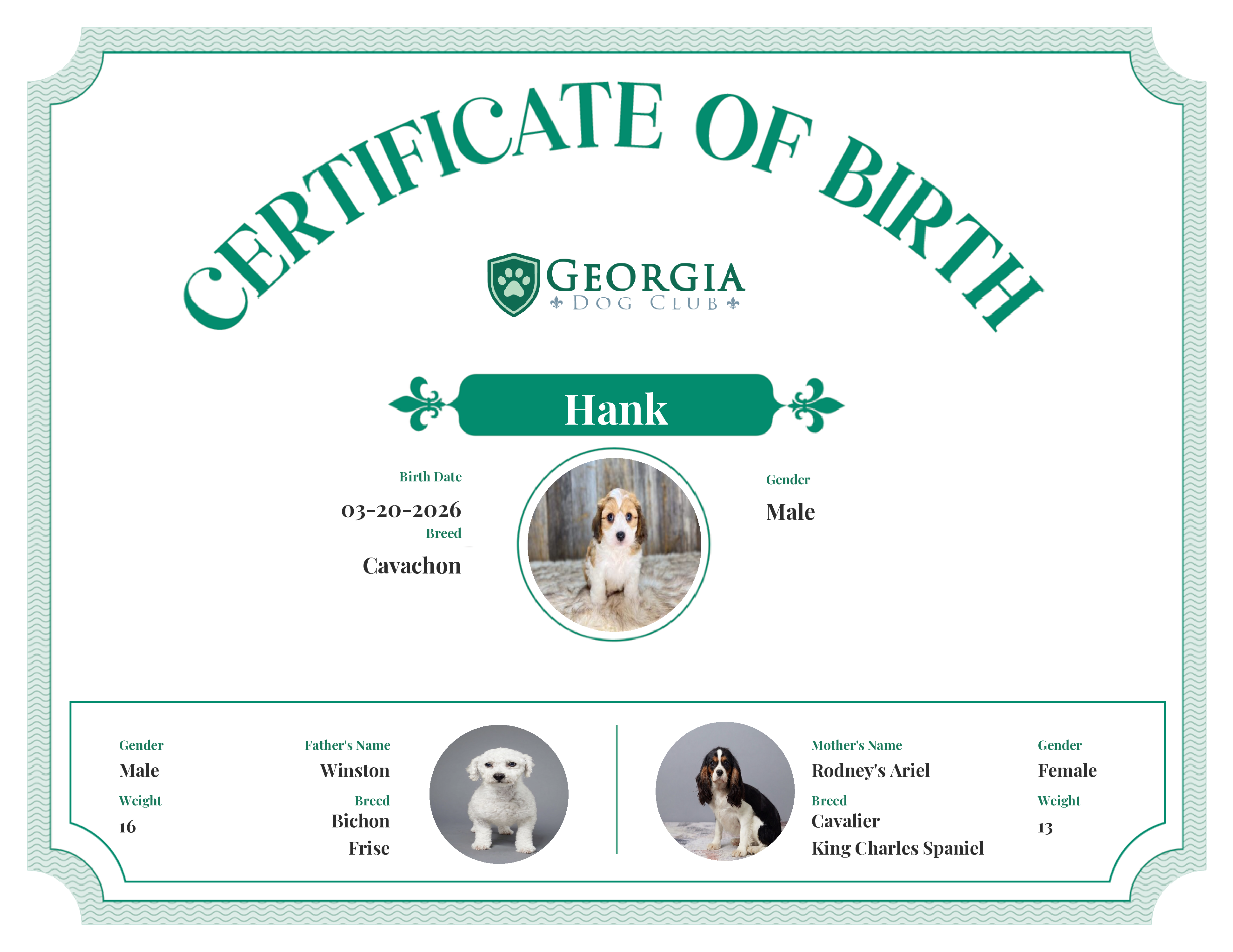 Hank's Birth Certificate