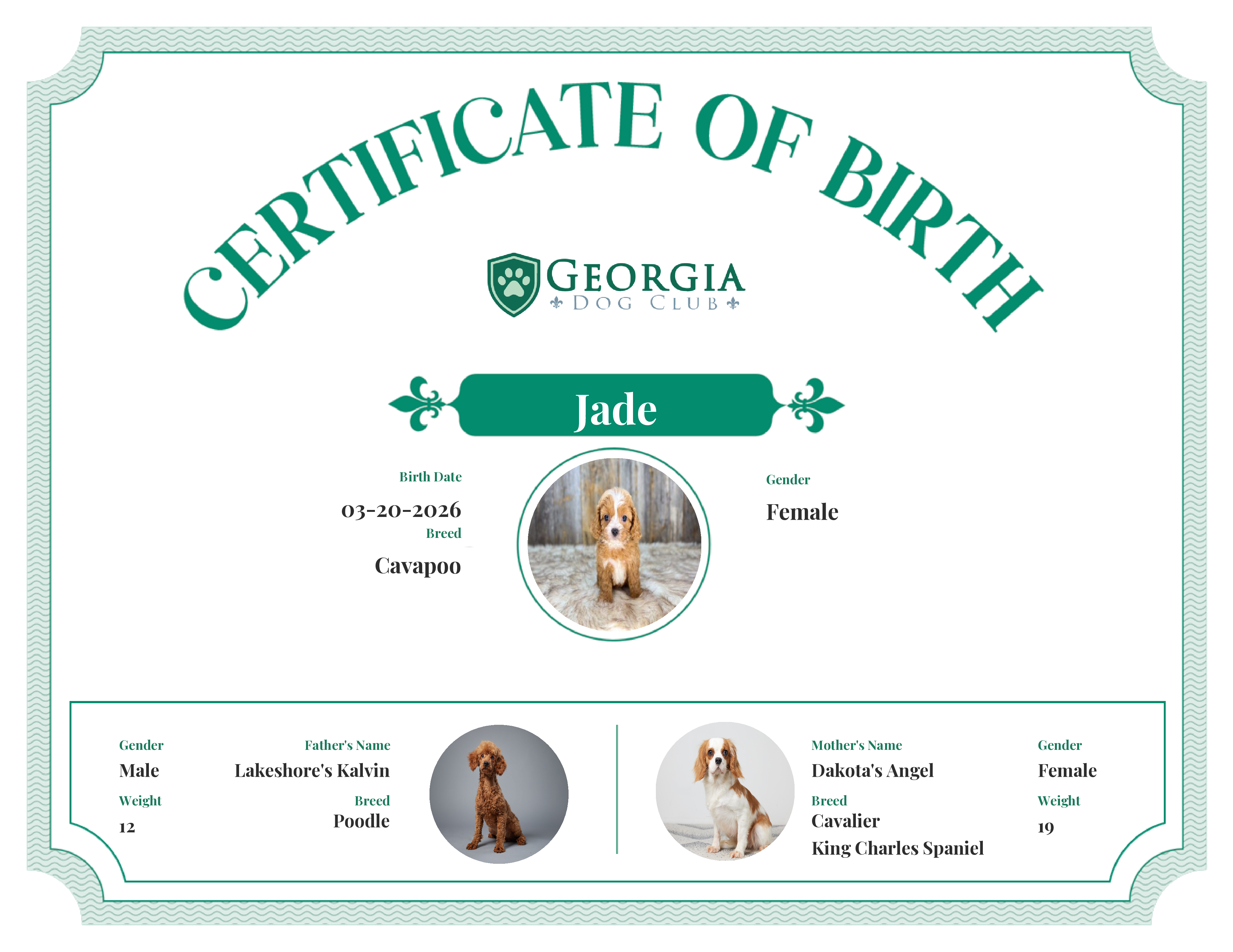 Jade's Birth Certificate