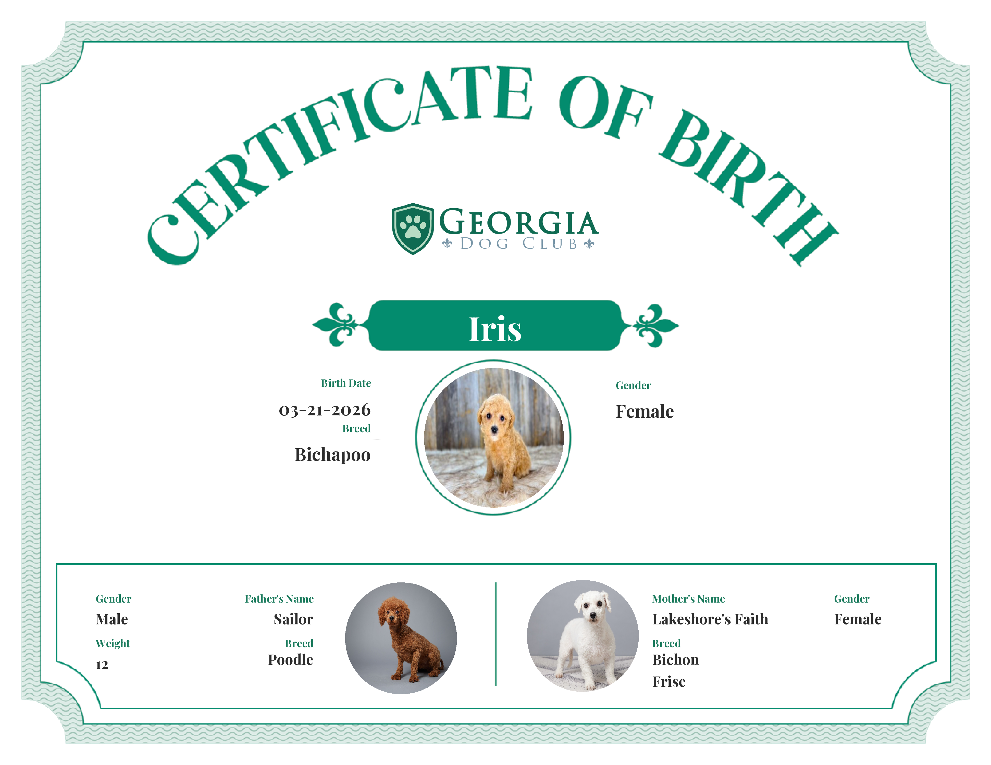 Iris's Birth Certificate