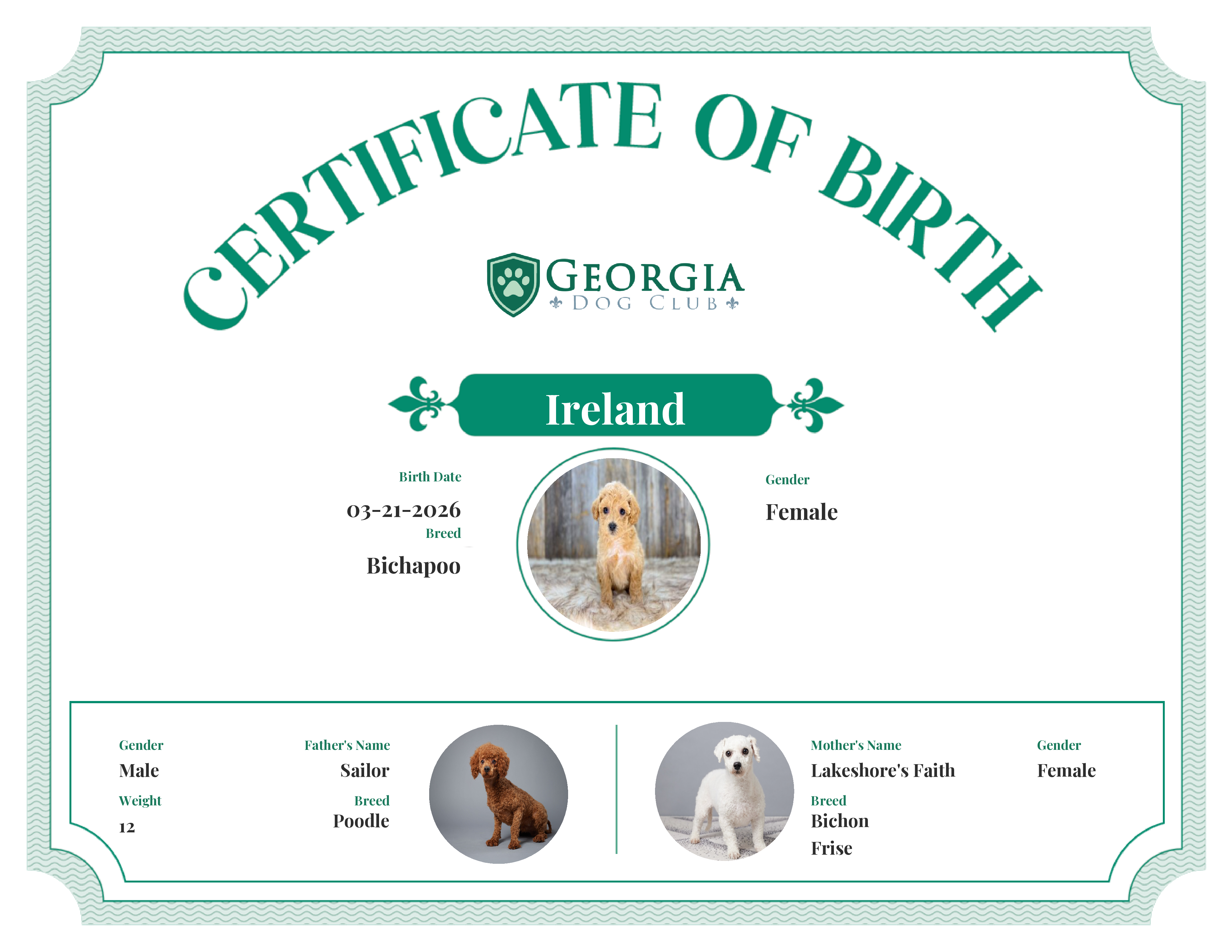 Ireland's Birth Certificate