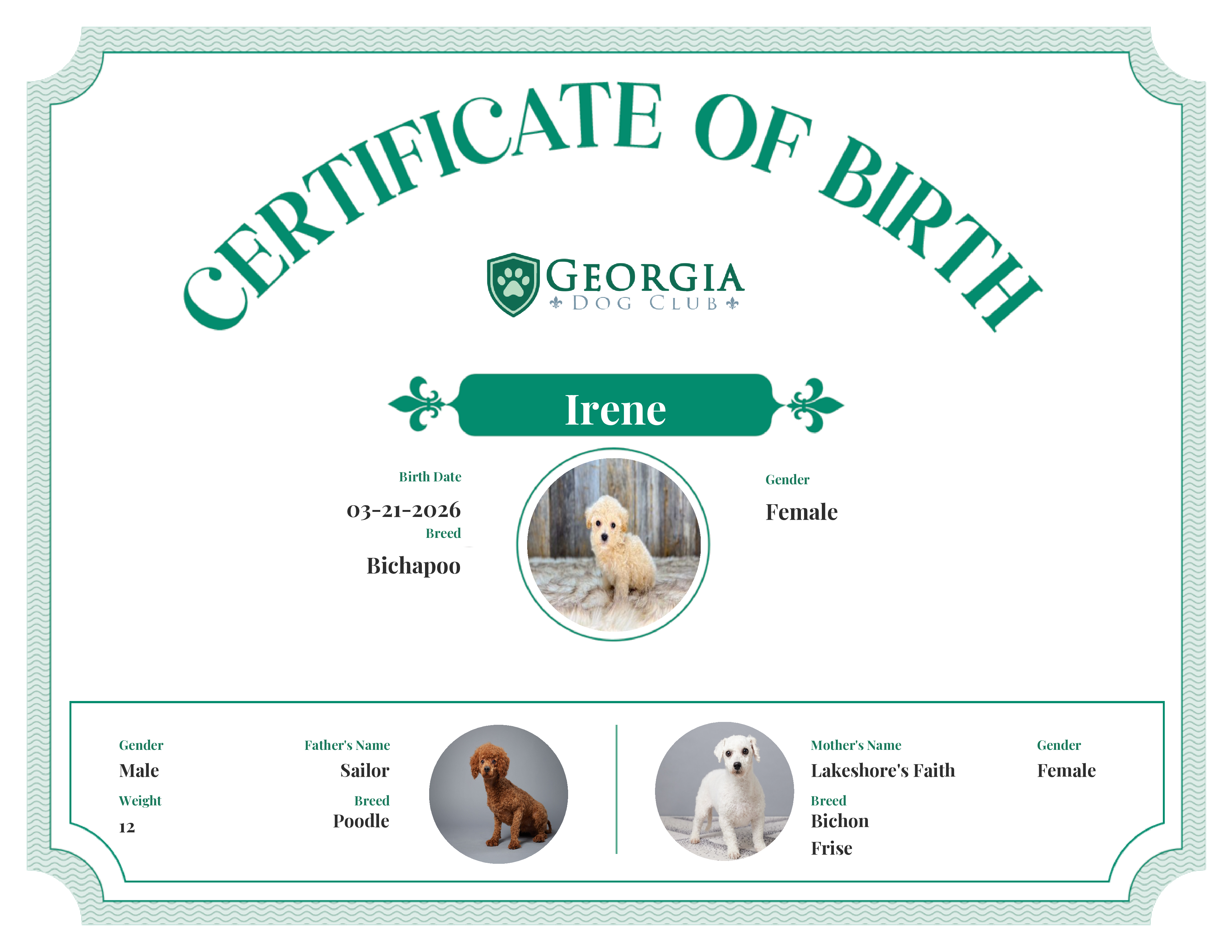 Irene's Birth Certificate