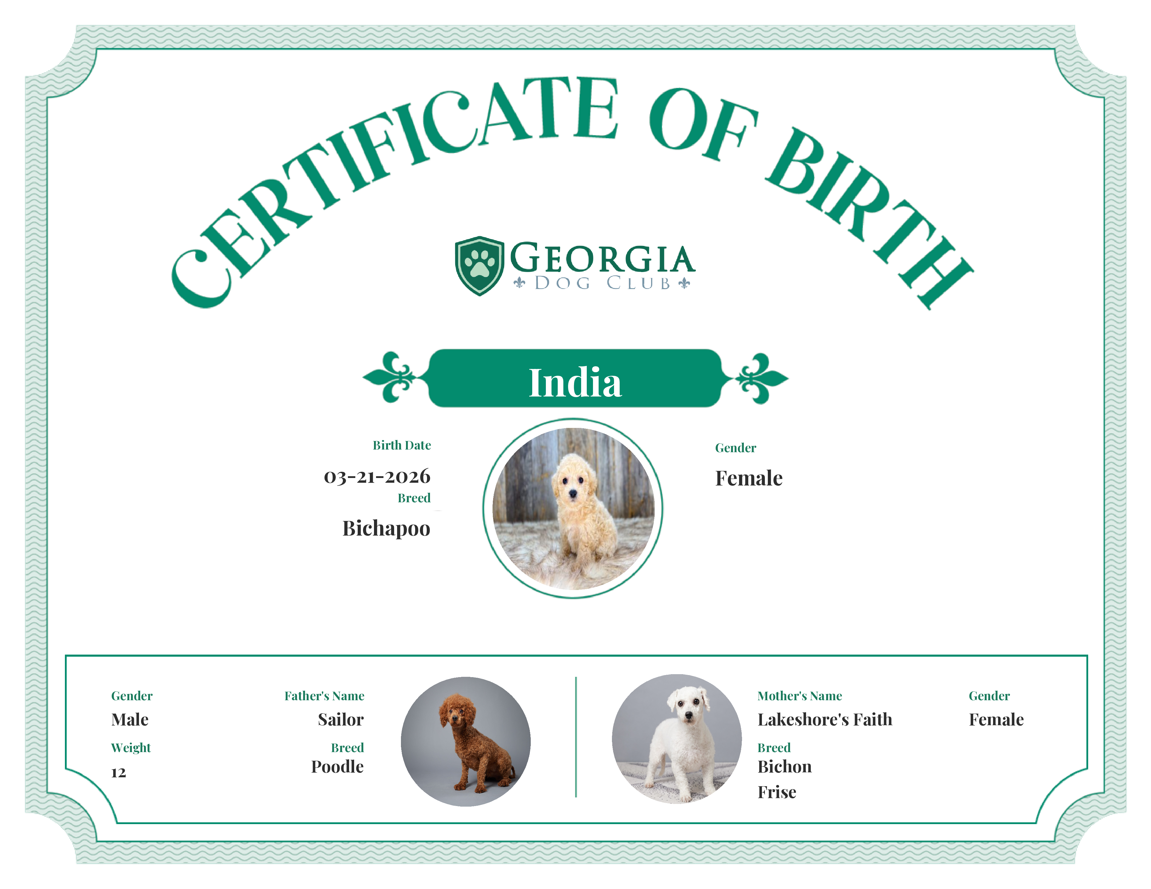 India's Birth Certificate
