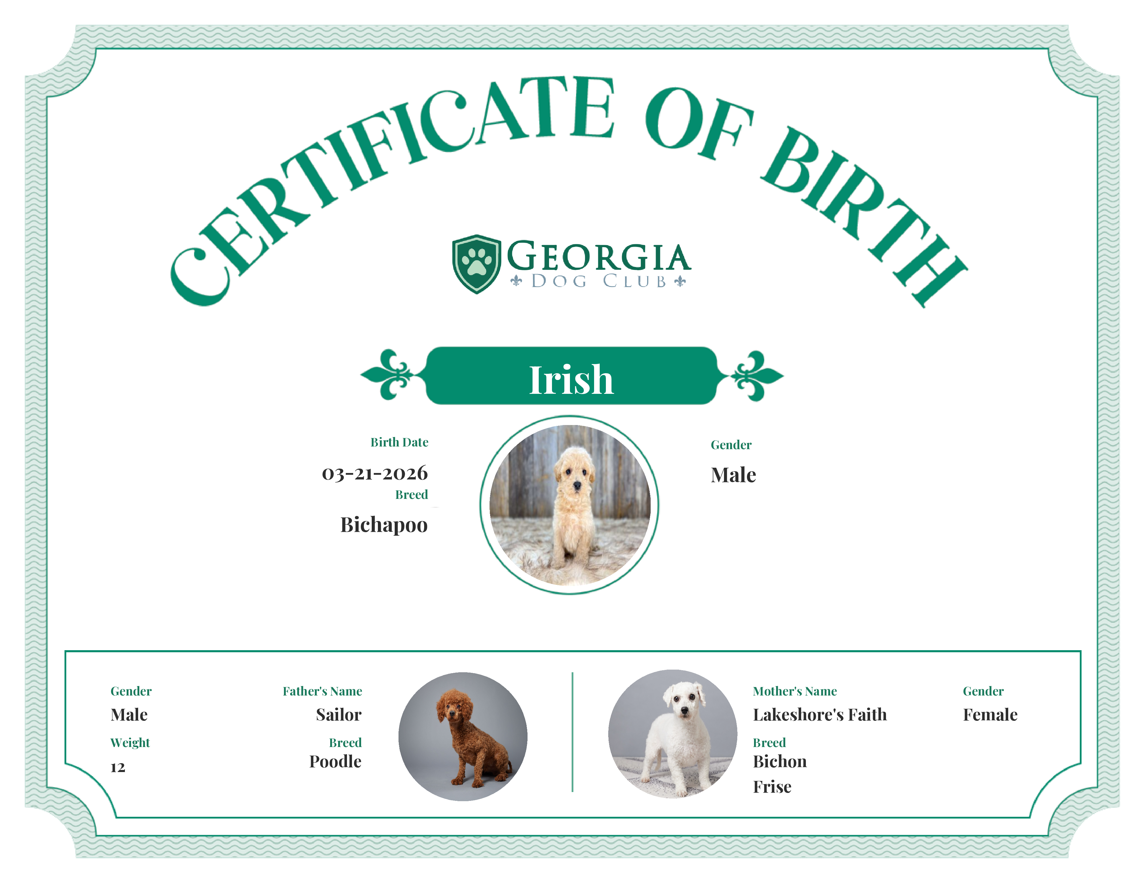 Irish's Birth Certificate