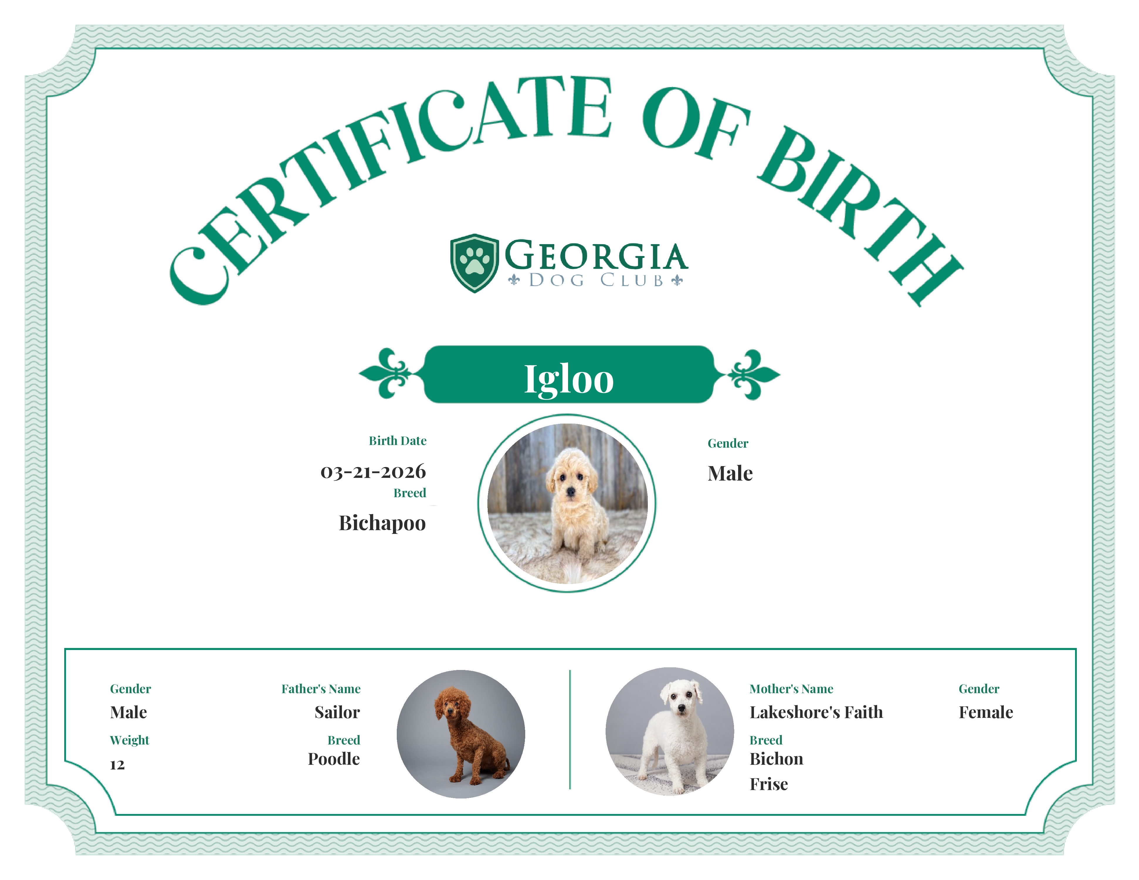 Igloo's Birth Certificate