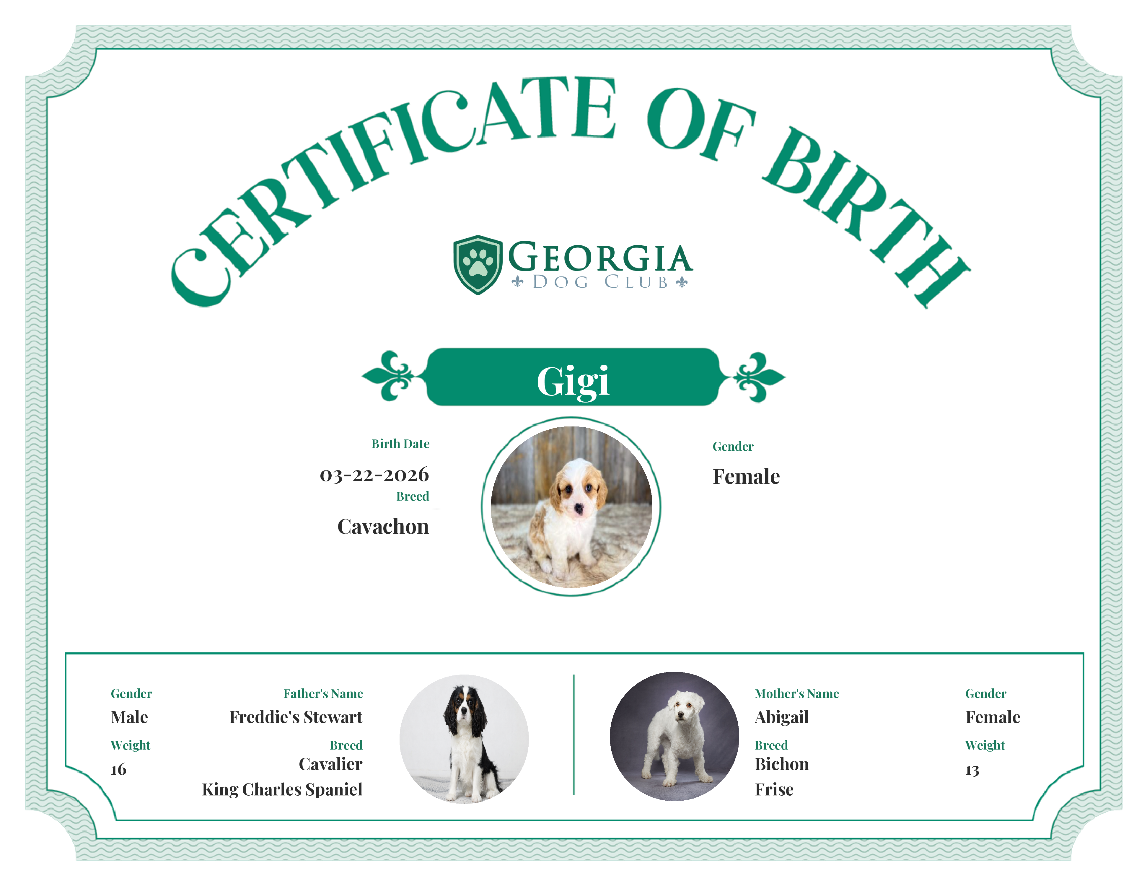 Gigi's Birth Certificate