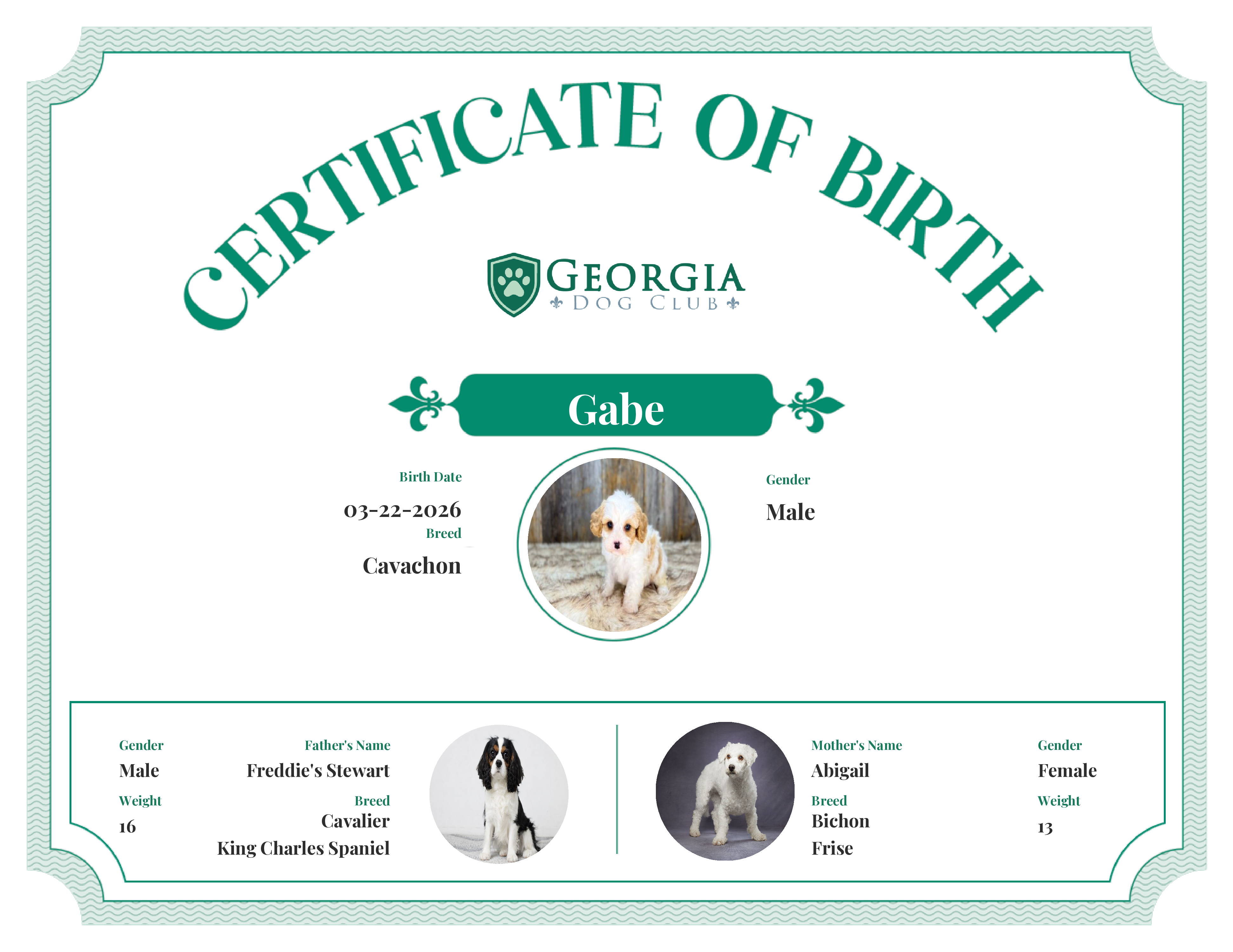 Gabe's Birth Certificate