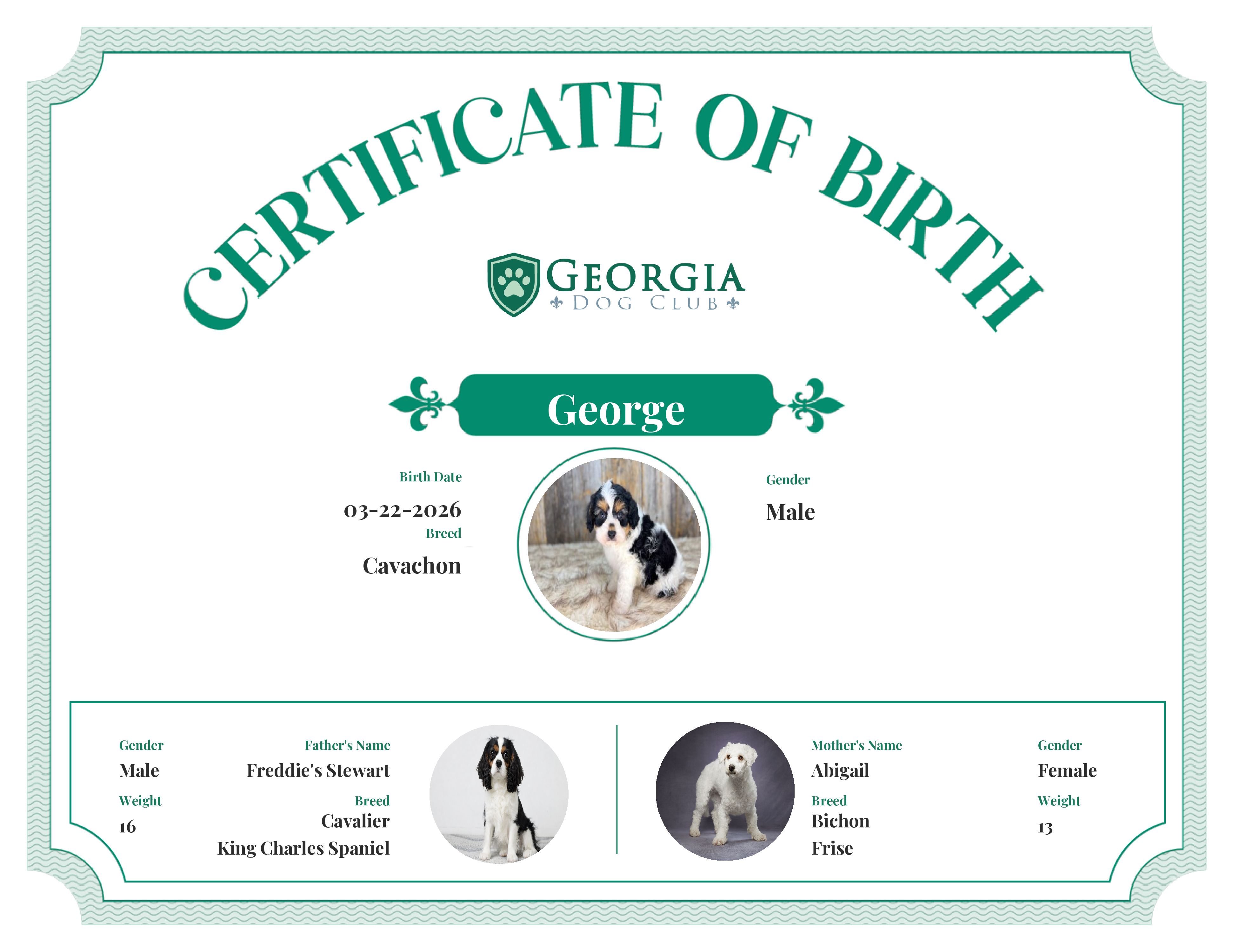 George's Birth Certificate