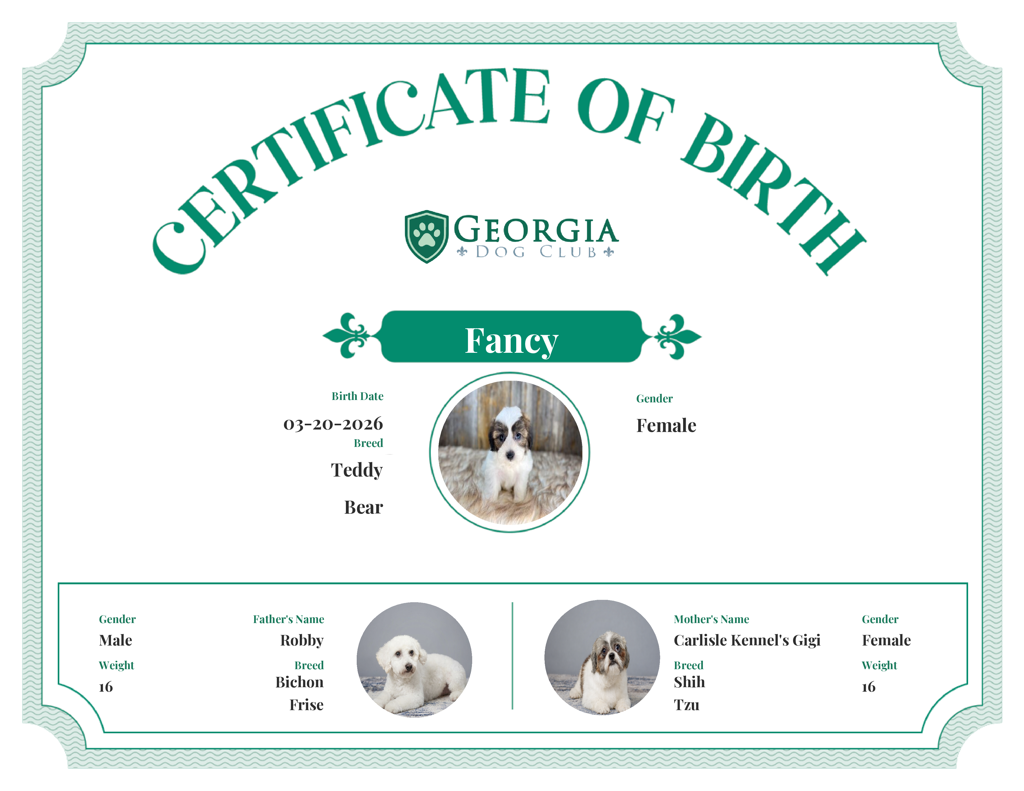 Fancy's Birth Certificate