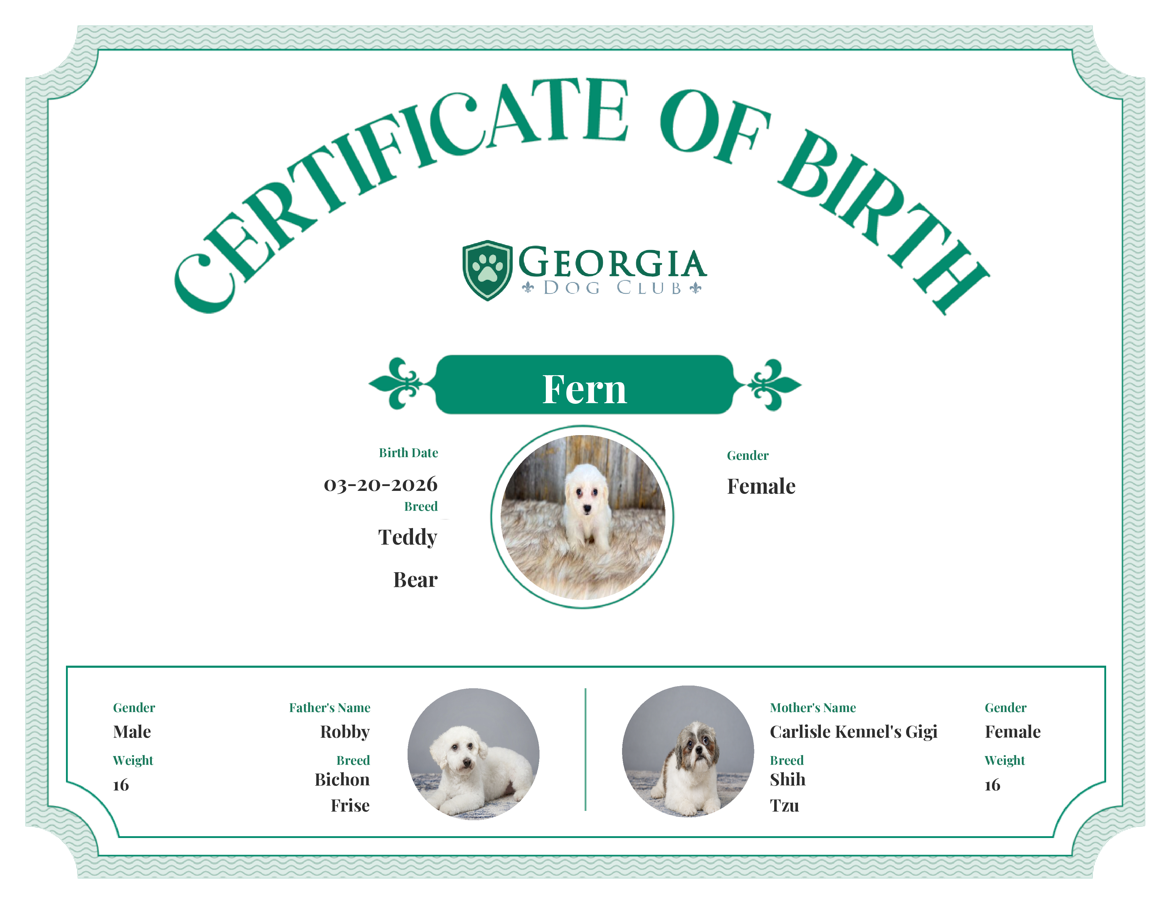Fern's Birth Certificate