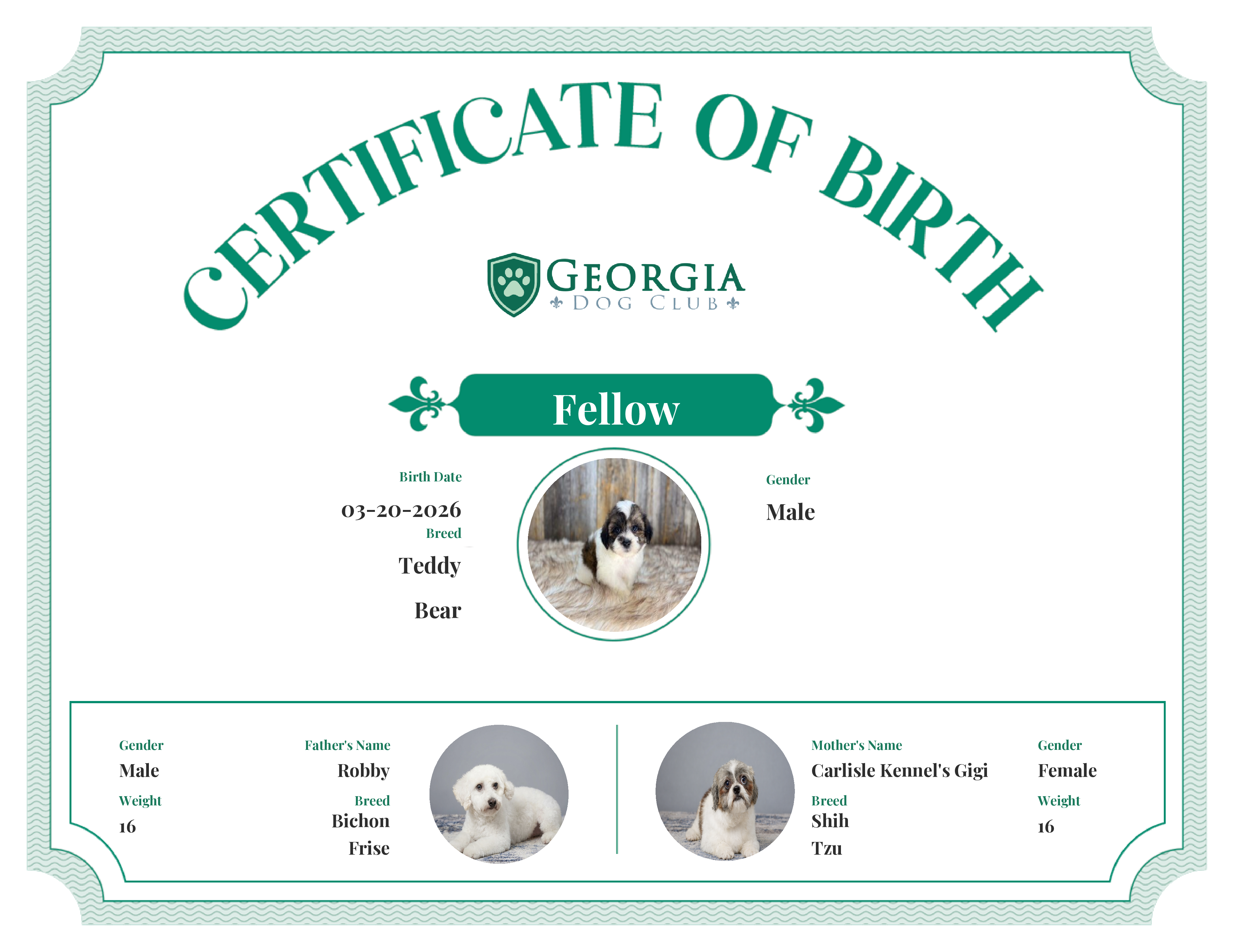 Fellow's Birth Certificate