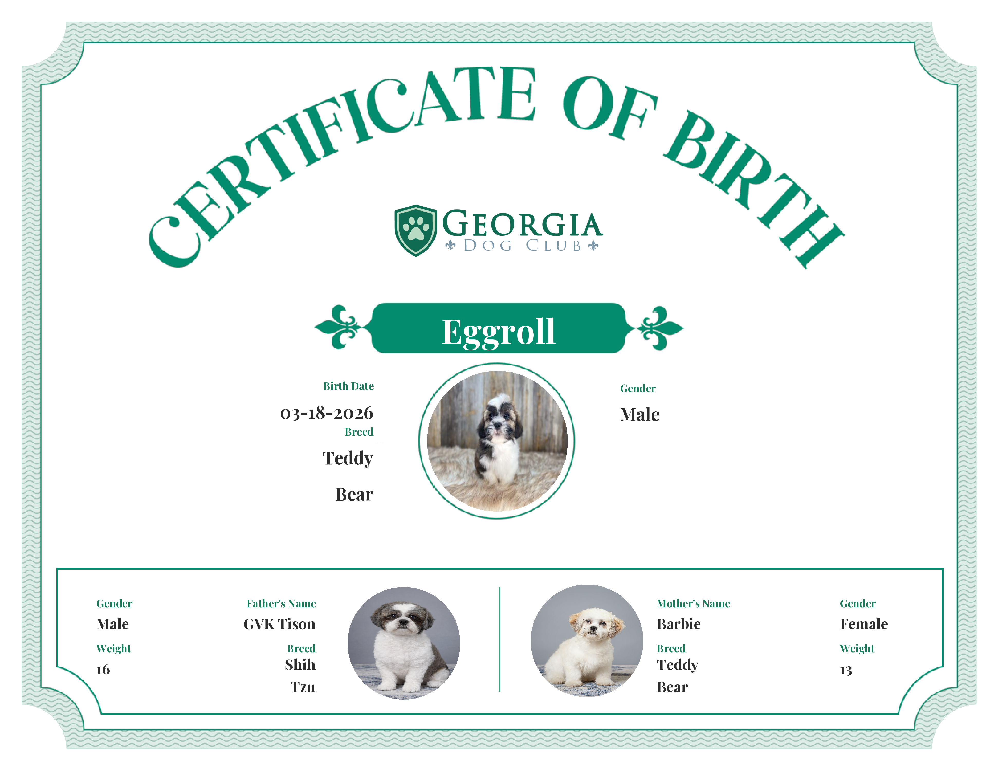 Eggroll's Birth Certificate