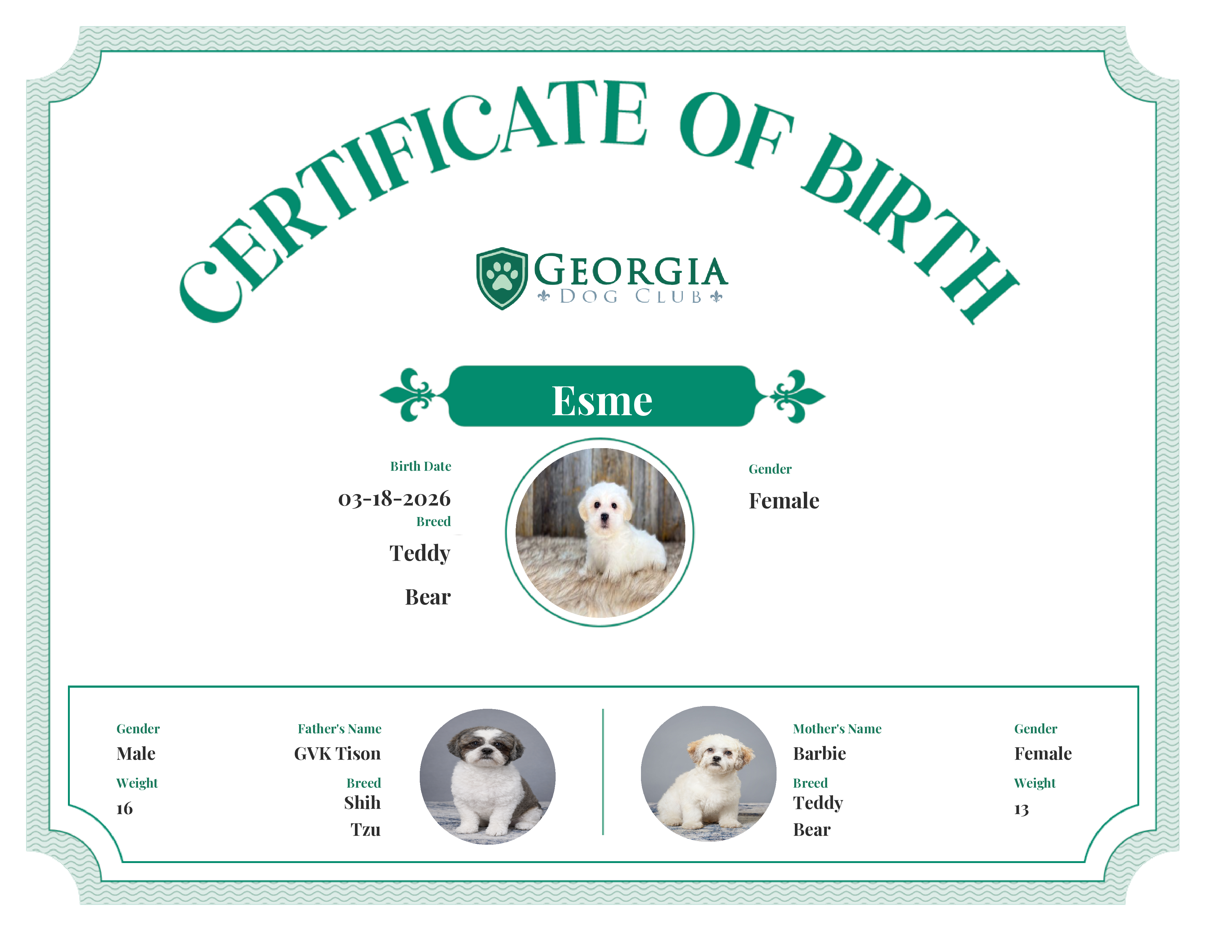 Esme's Birth Certificate