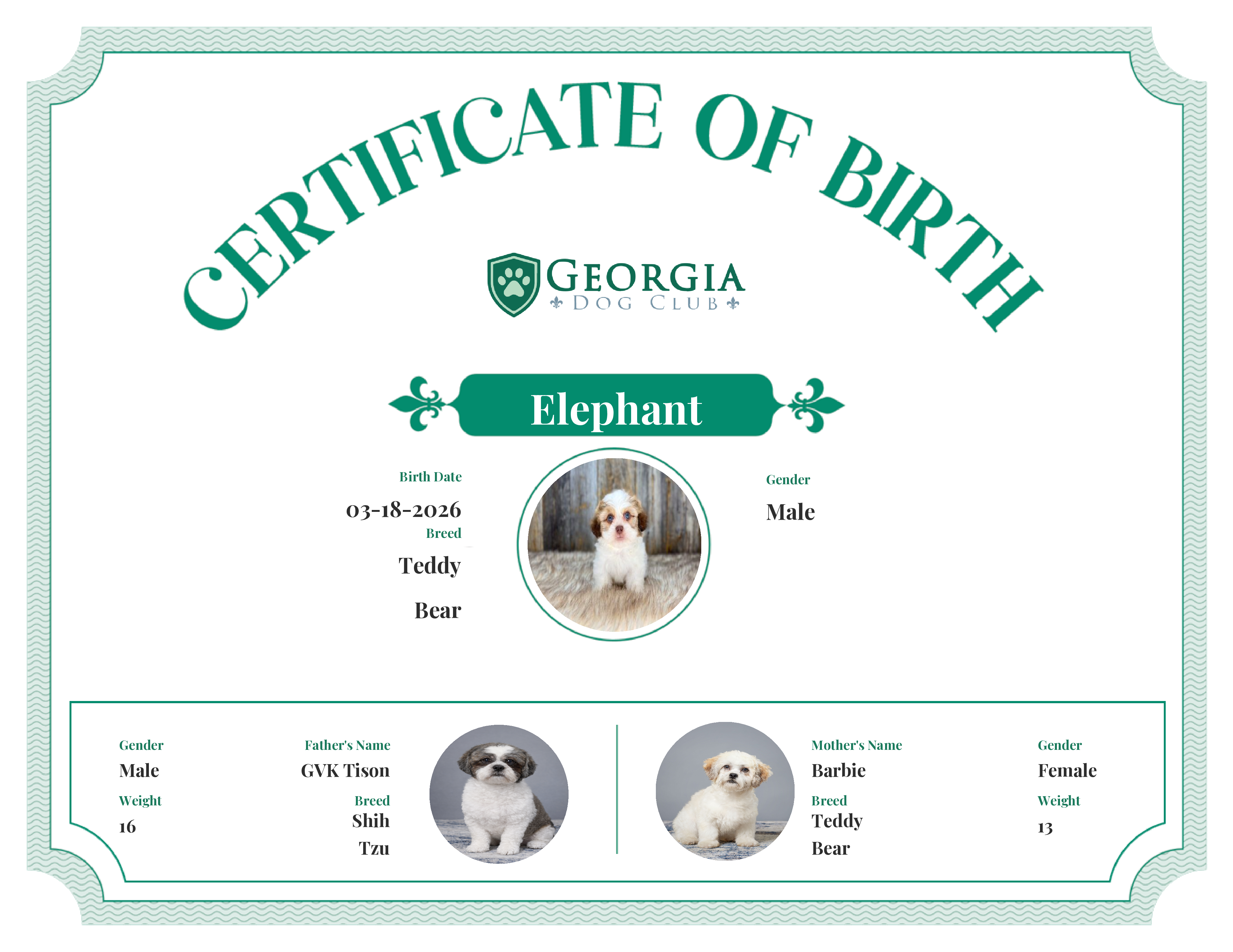 Elephant's Birth Certificate