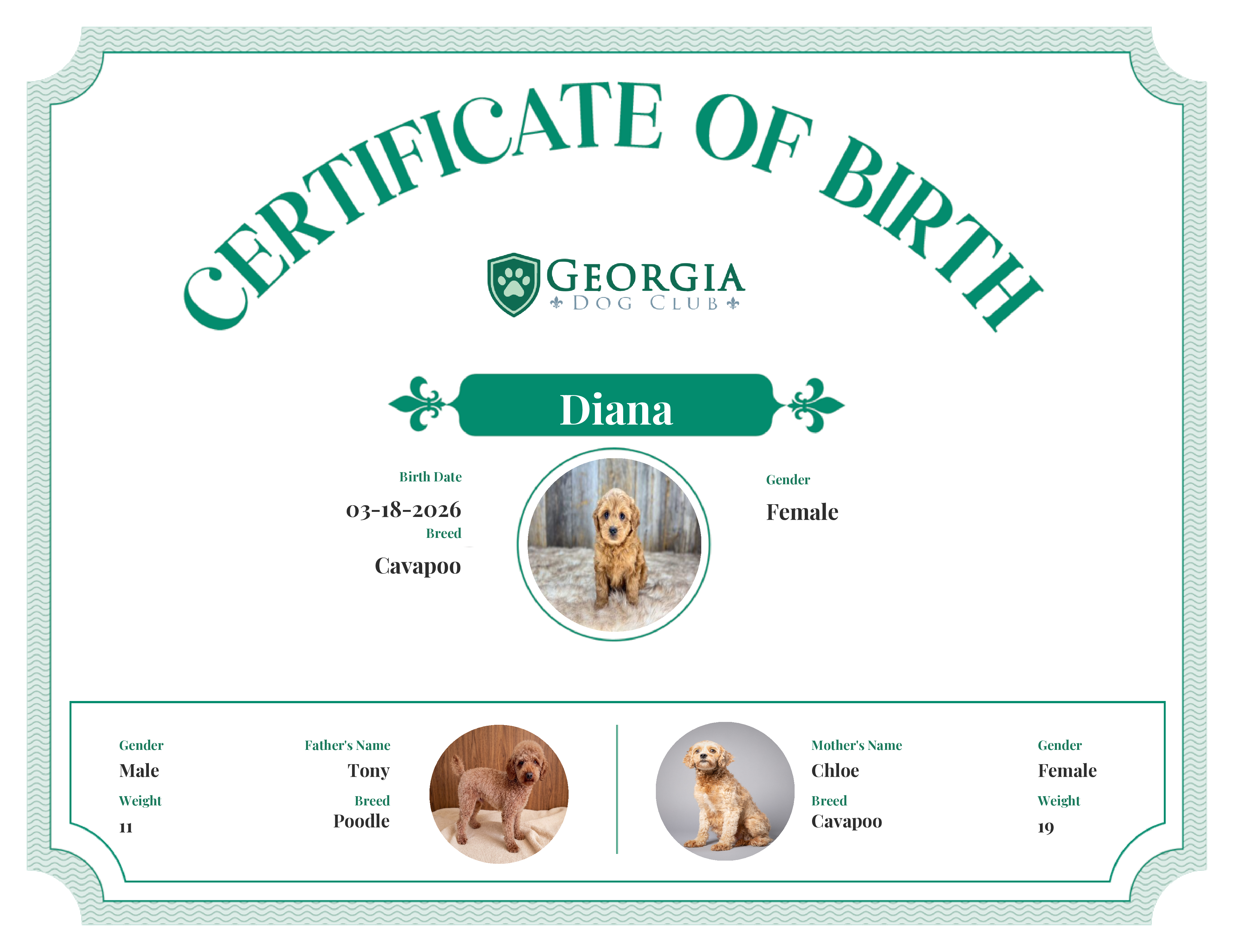 Diana's Birth Certificate