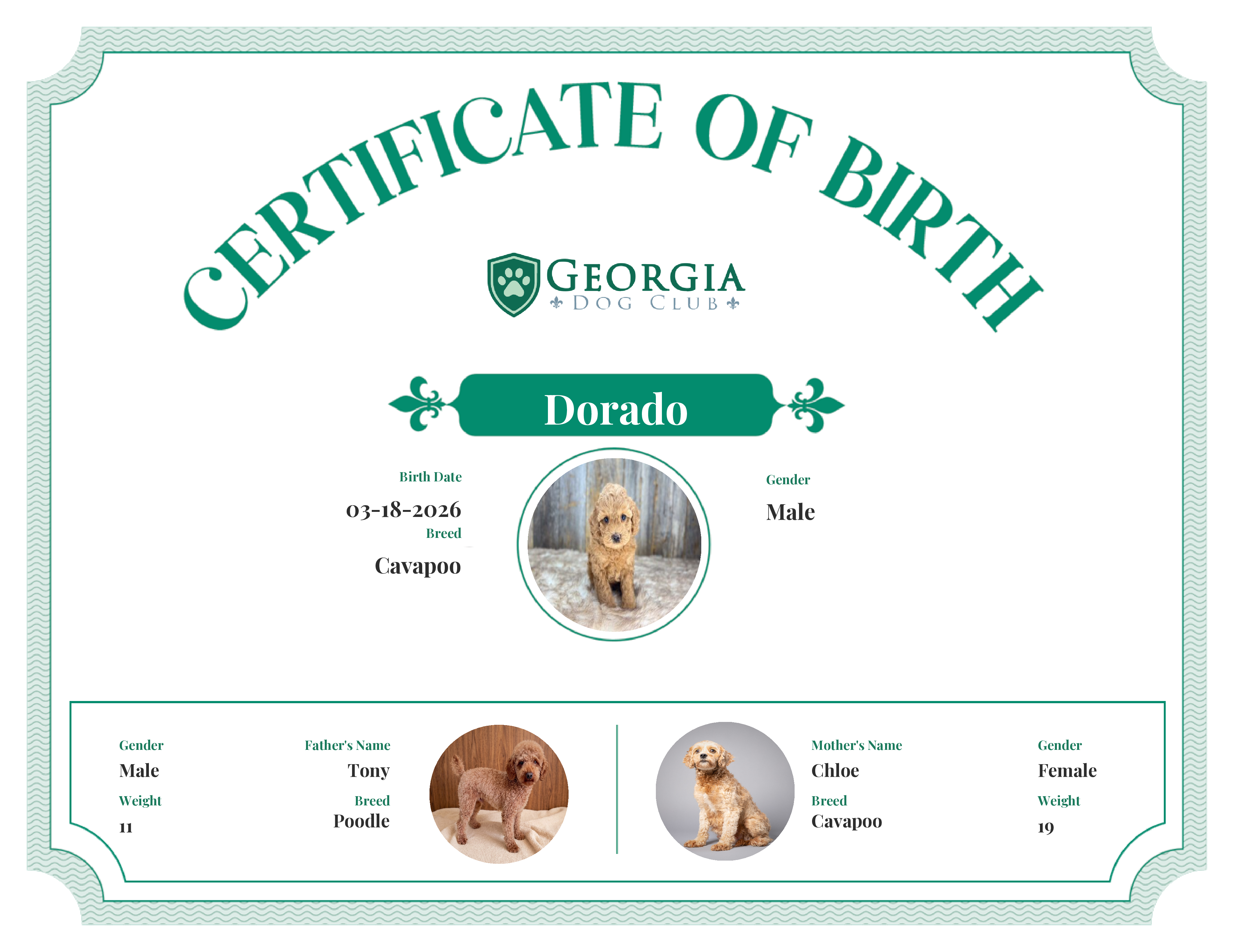 Dorado's Birth Certificate